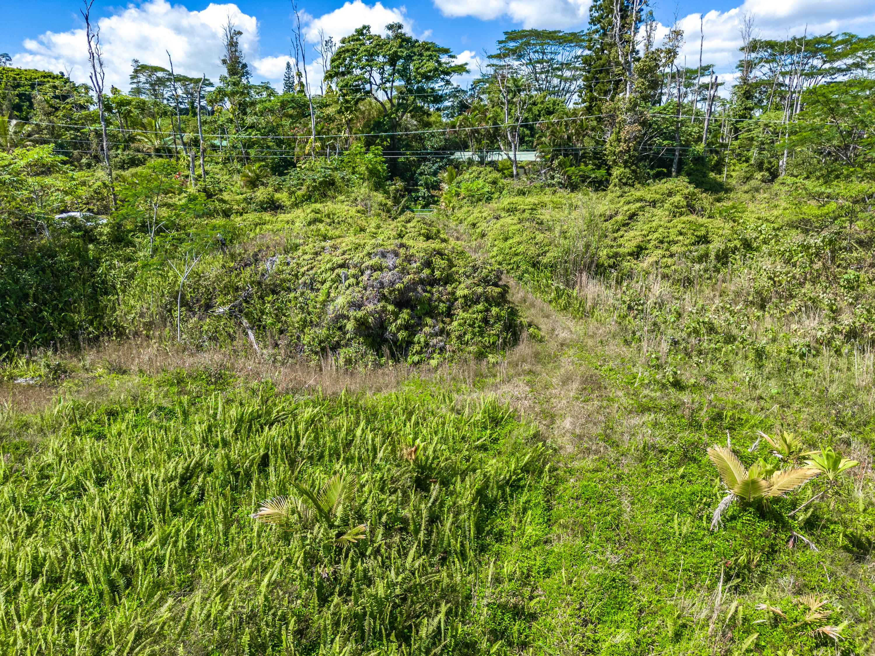 Pahoa, HI 96778,13-3559 KUPONO ST