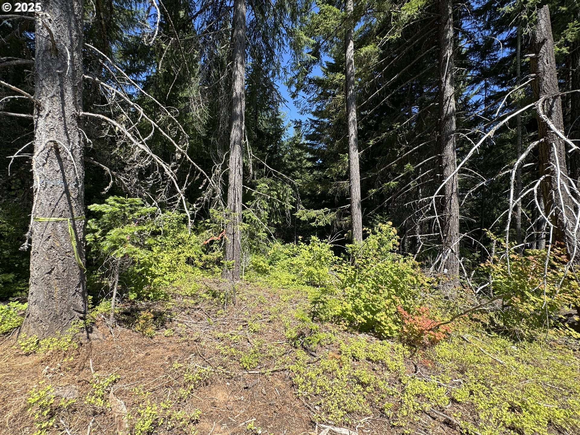 White Salmon, WA 98672,SNOWDEN