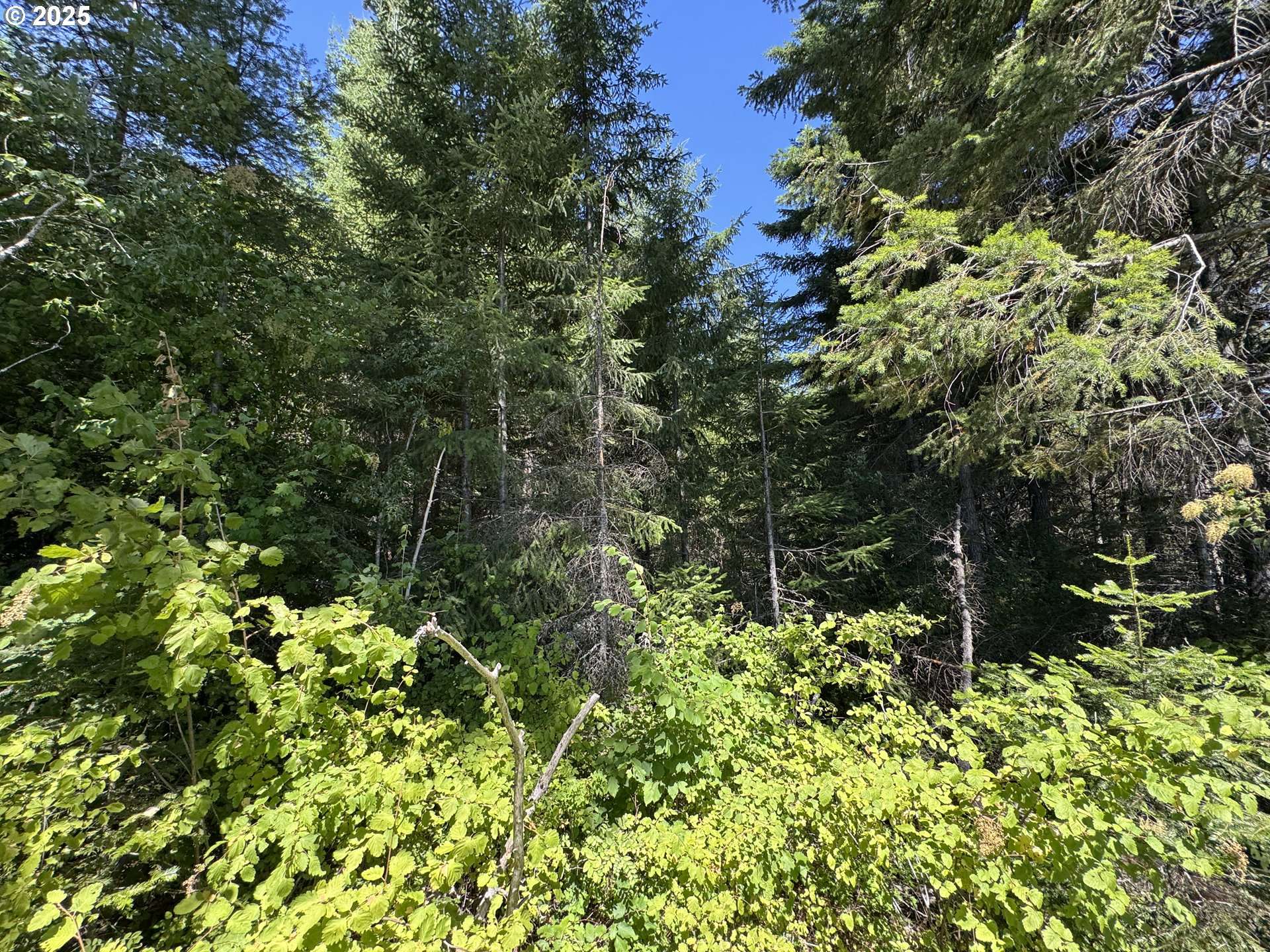 White Salmon, WA 98672,SNOWDEN