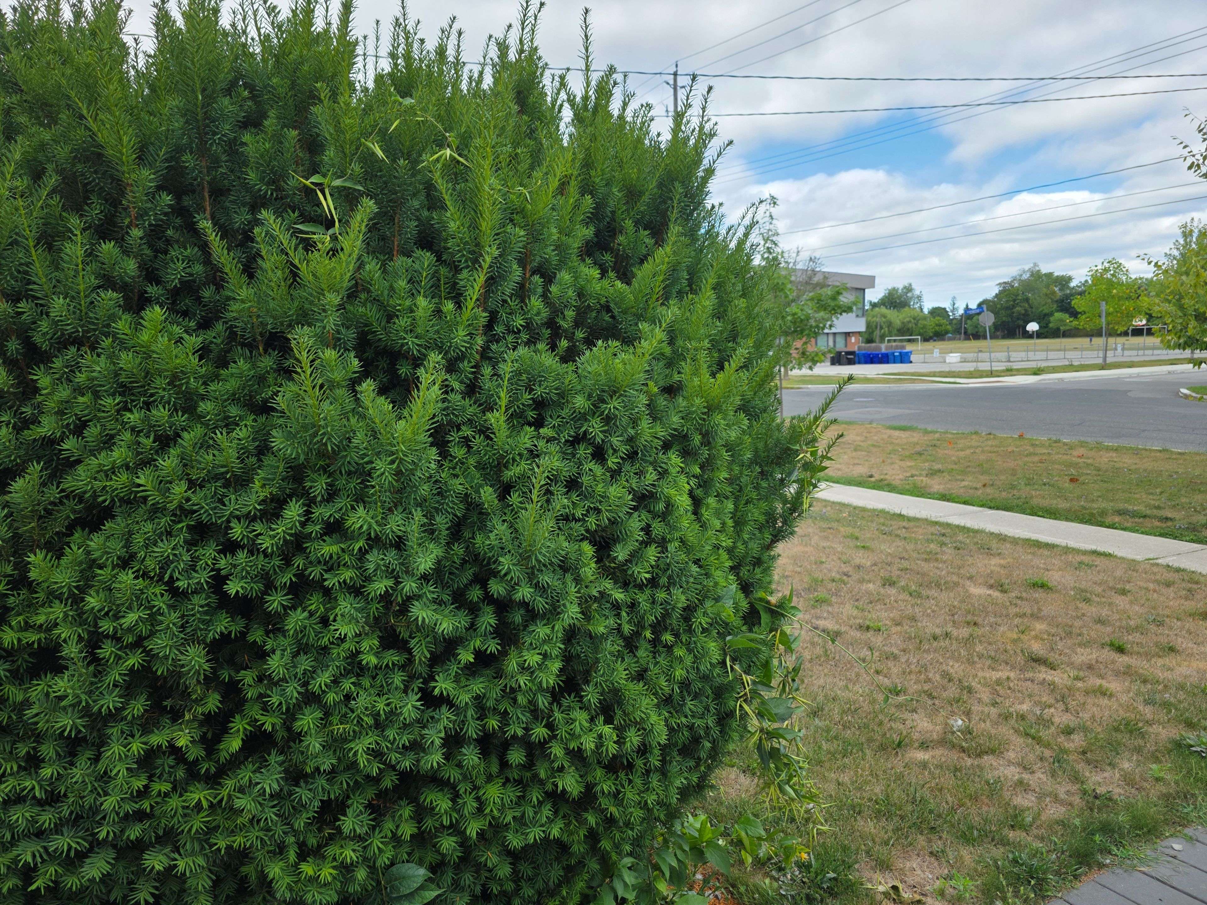 Toronto E08, ON M1E 1L7,220 Livingston RD