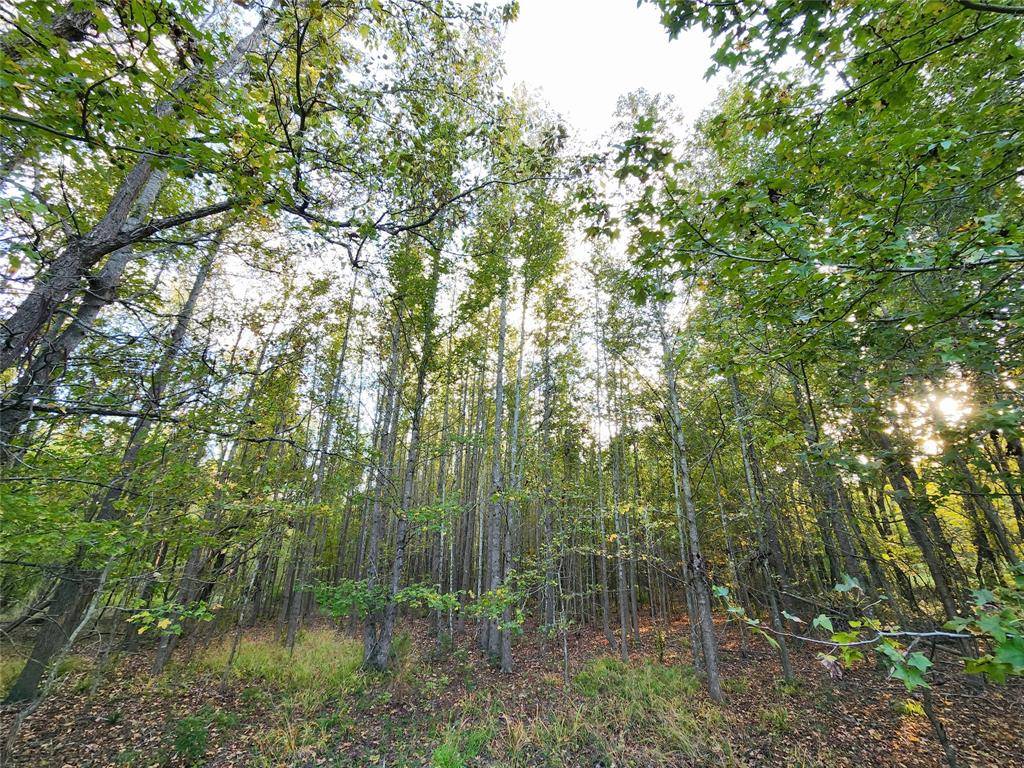 Larue, TX 75770,Lot 283 Eland Trail