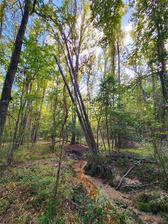 Larue, TX 75770,Lot 283 Eland Trail