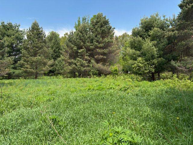 Huntsville, ON P1H 1L6,351 Ravenscliffe RD