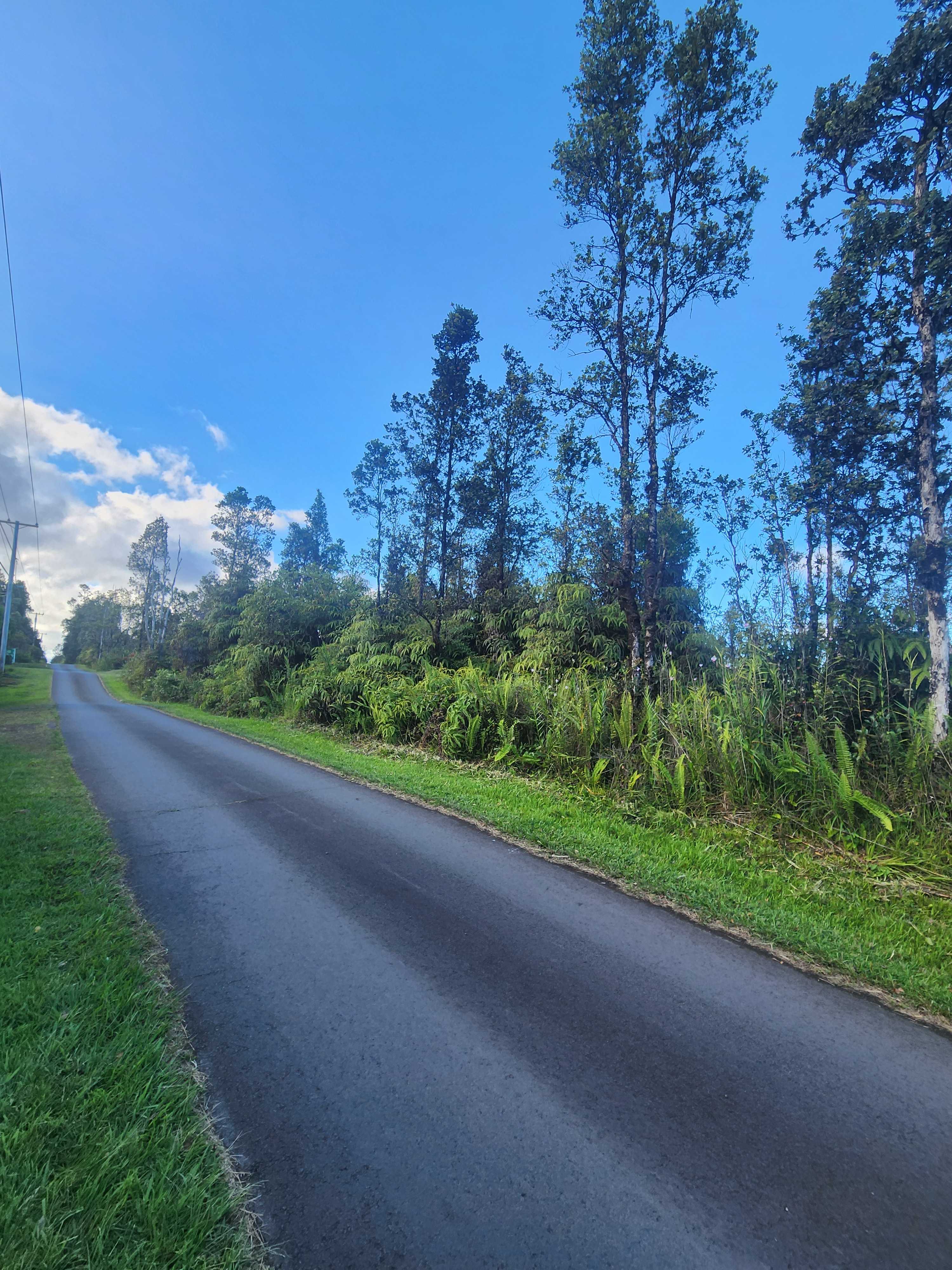 Mountain View, HI 96760,16-1799 ROAD 1 (UHINI ANA)