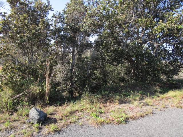 Ocean View, HI 96737,92-2220 PALM PKWY