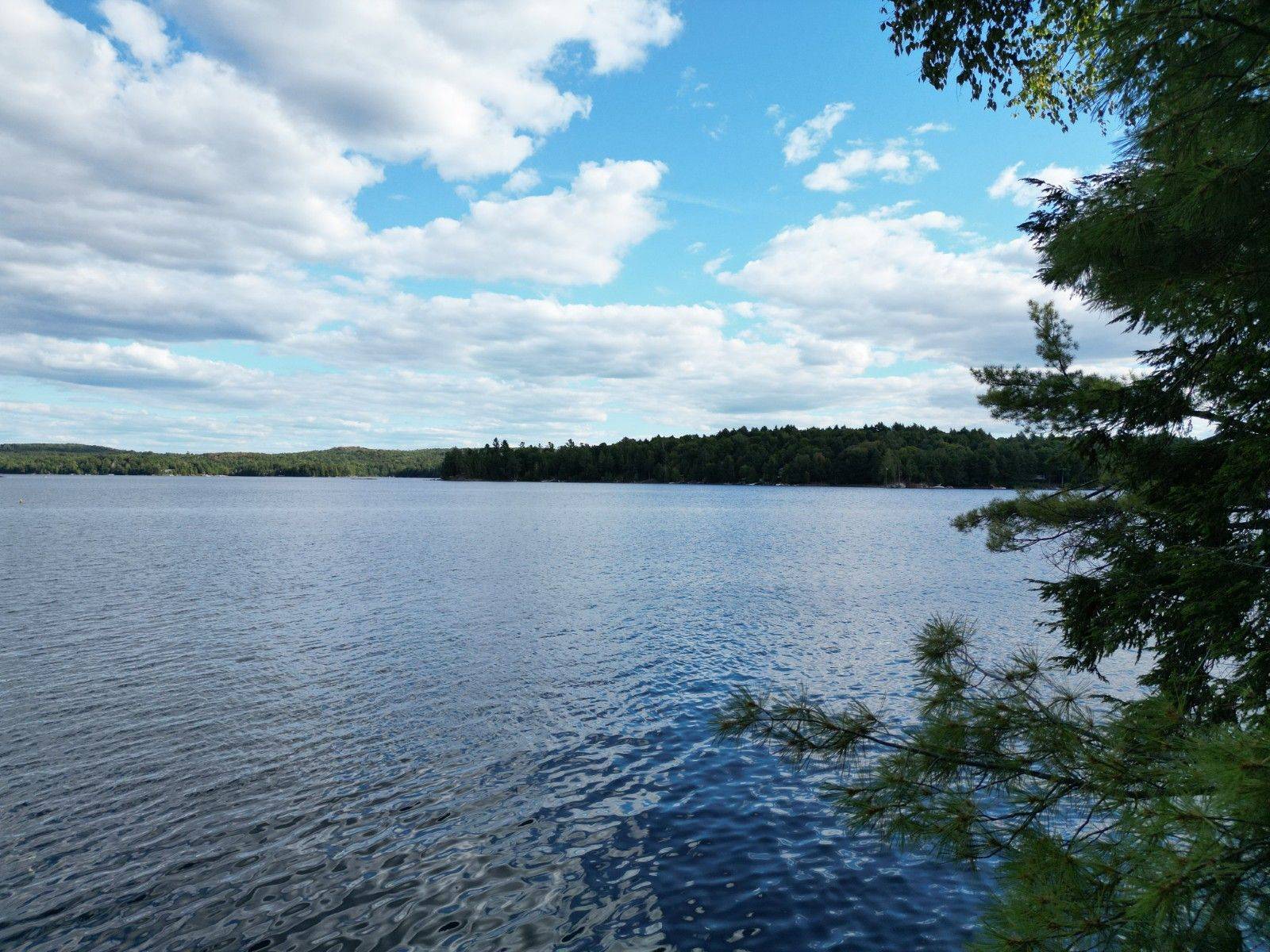 Dysart Et Al, ON K0M 1S0,0 Kennisis Lake RD