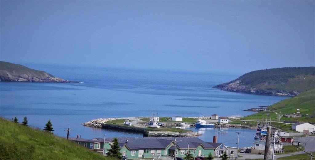 Ferryland, NL A0A 2H0,9 Horse Nap Lane