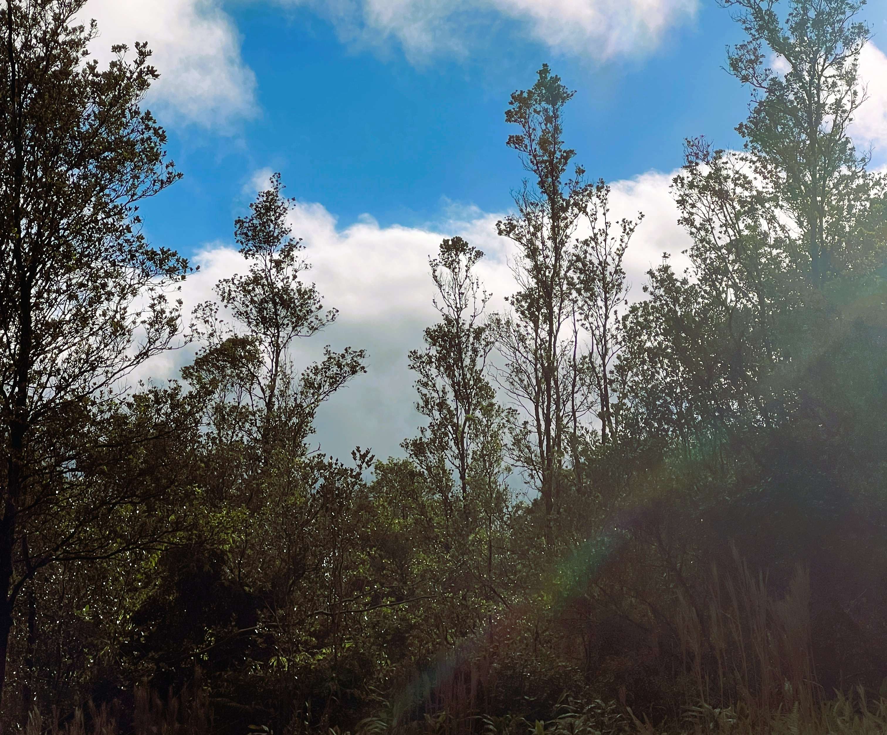 Volcano, HI 96785,18-2344 ROAD 2