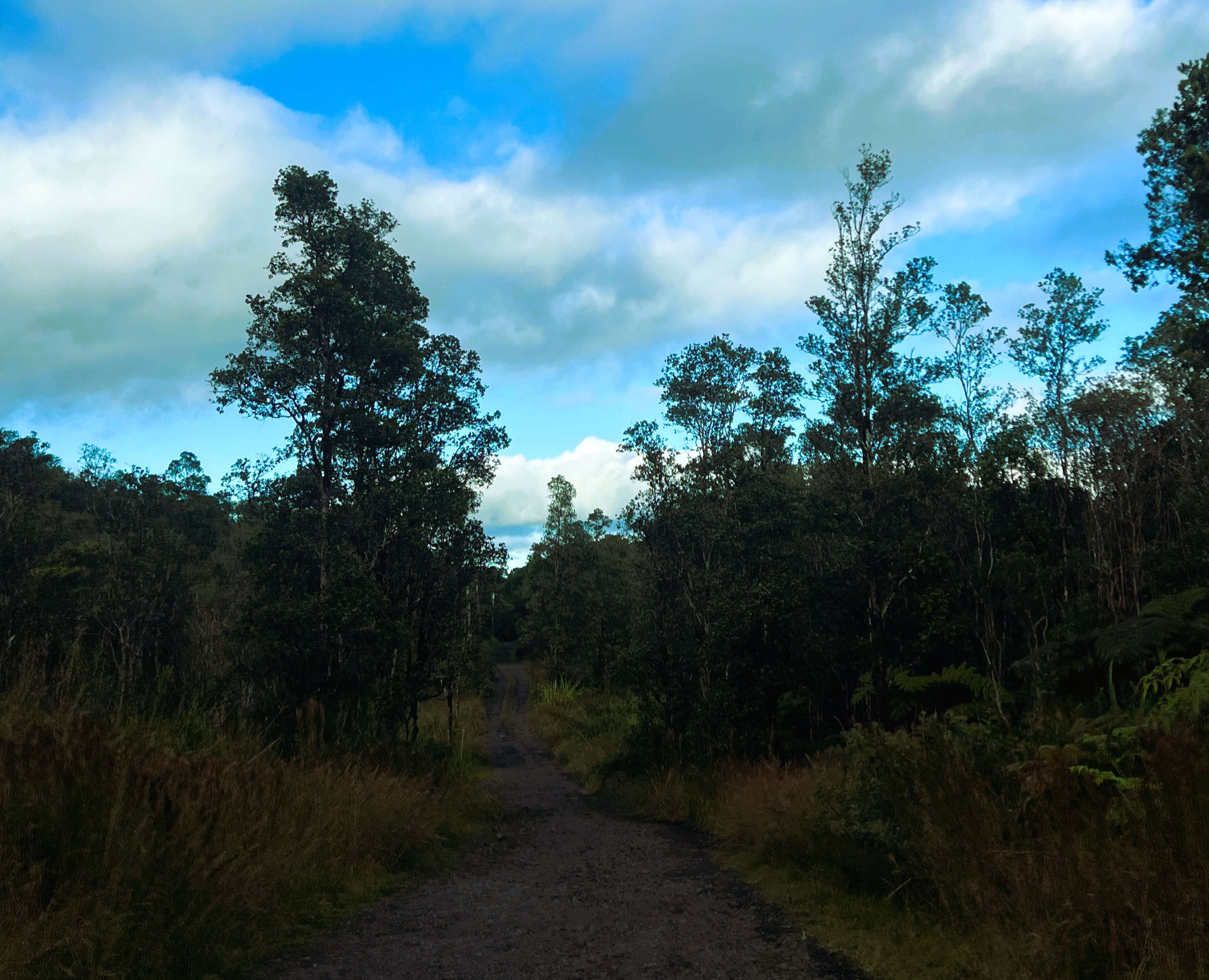 Volcano, HI 96785,18-2344 ROAD 2