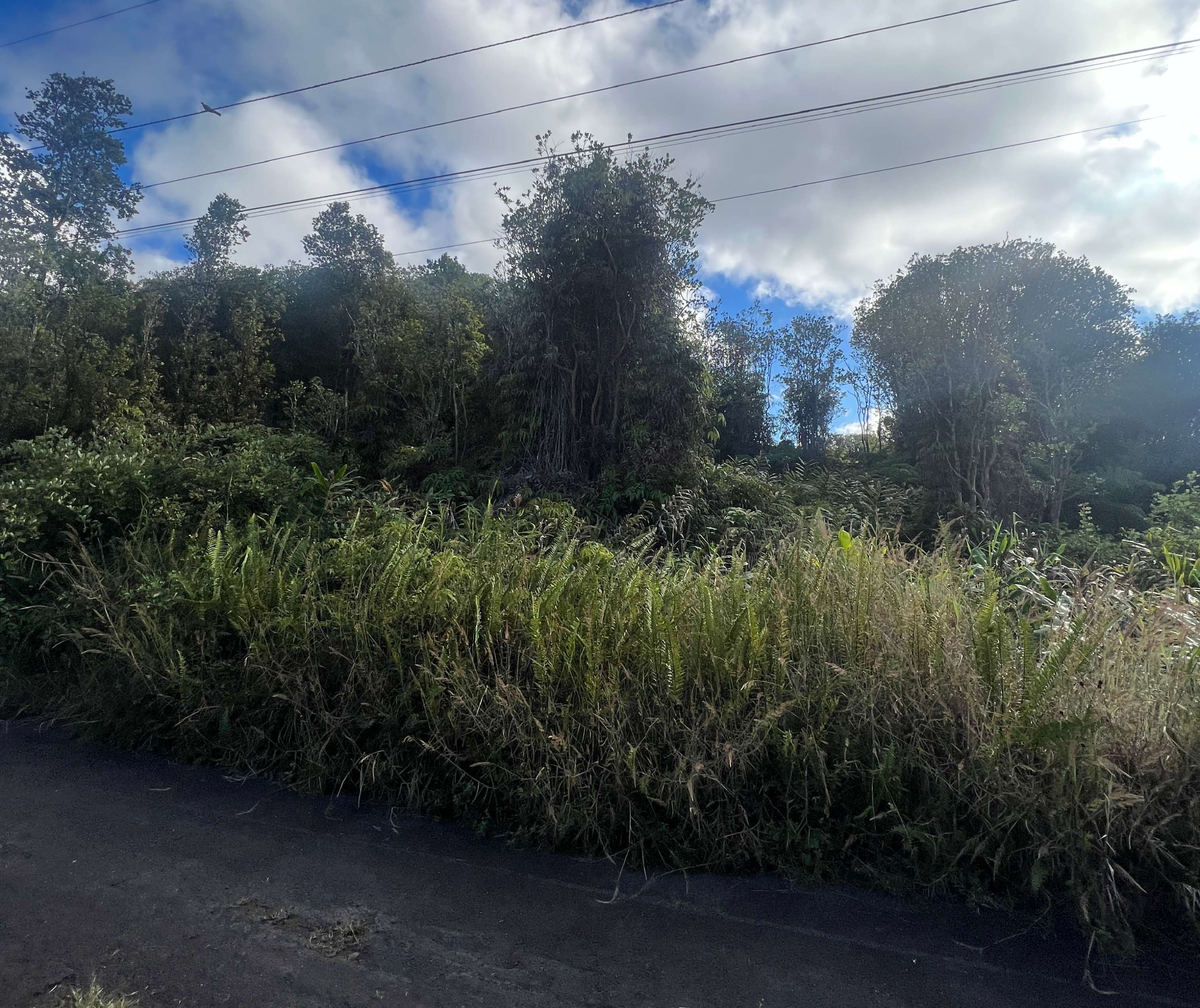 Volcano, HI 96785,18-4175 HOHIU ST