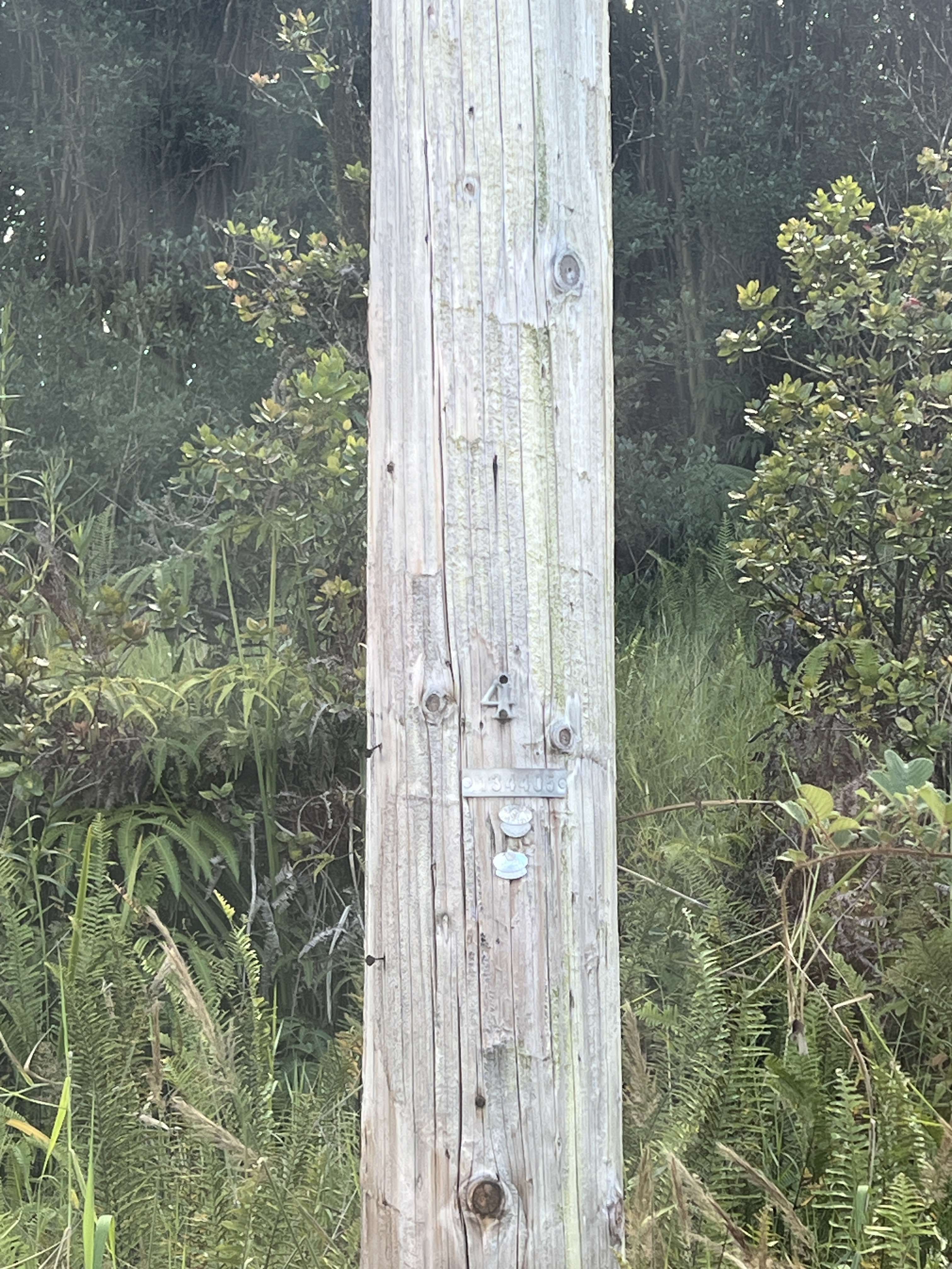 Volcano, HI 96785,18-4175 HOHIU ST