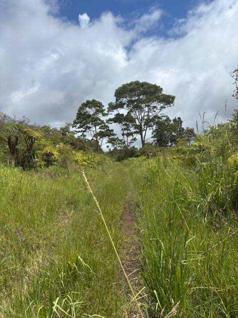 Volcano, HI 96785,GLENWOOD RD