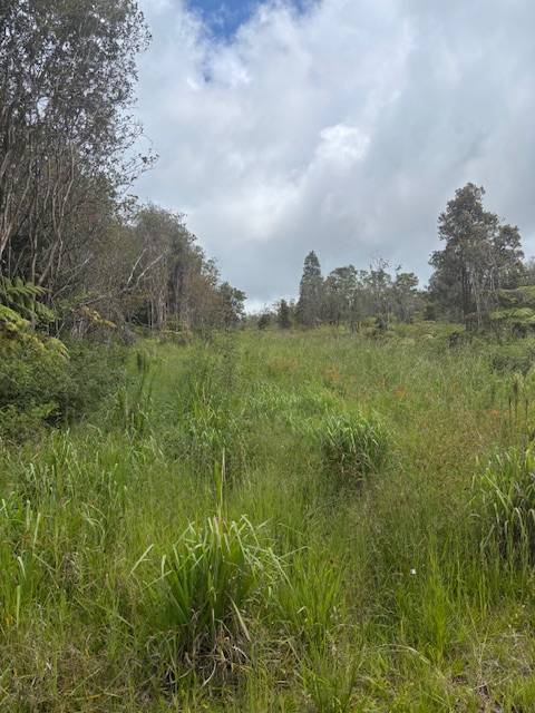 Volcano, HI 96785,GLENWOOD RD