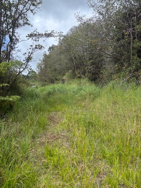 Volcano, HI 96785,GLENWOOD RD