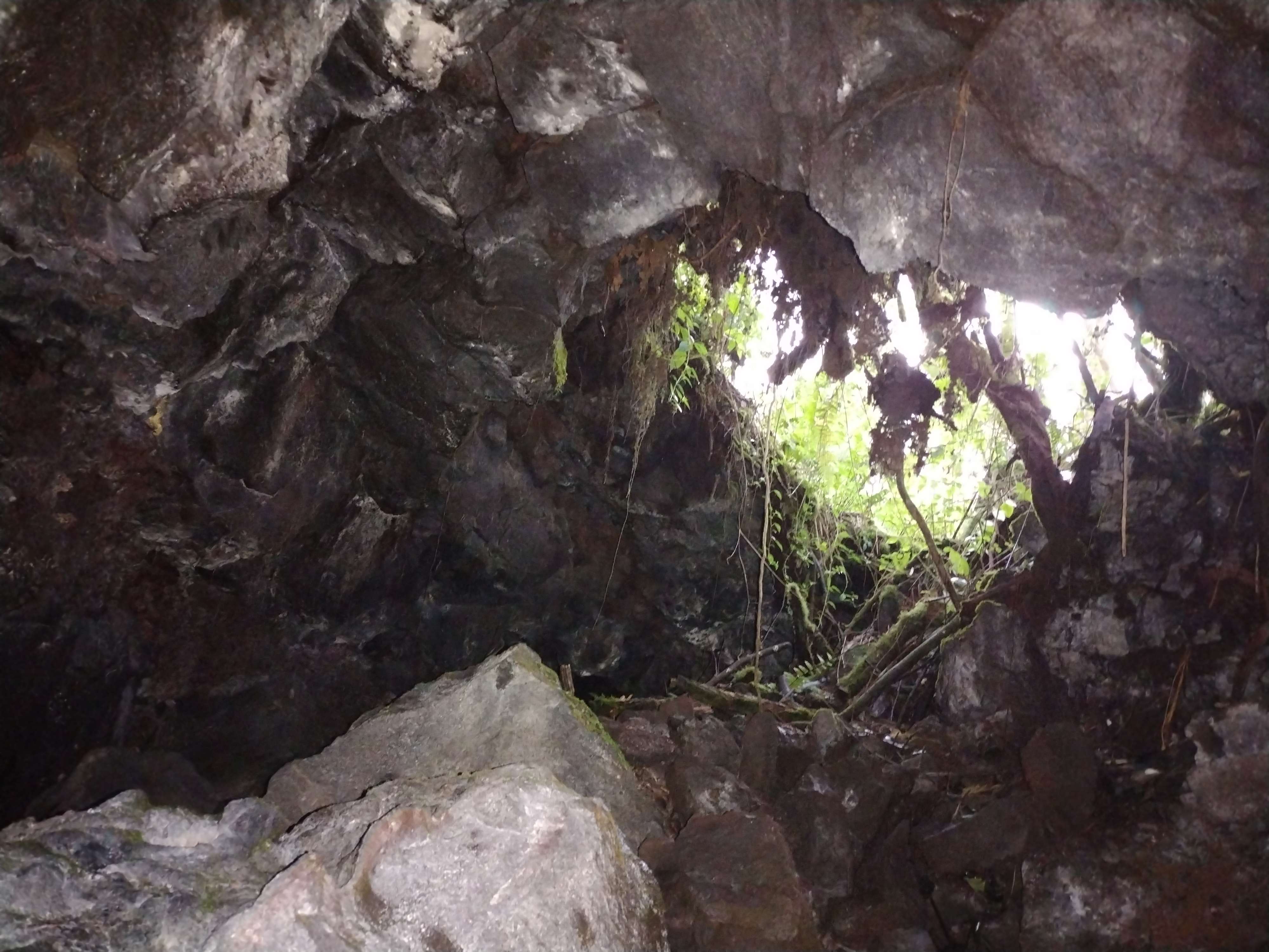 Pahoa, HI 96778,13-3486 MAILE ST