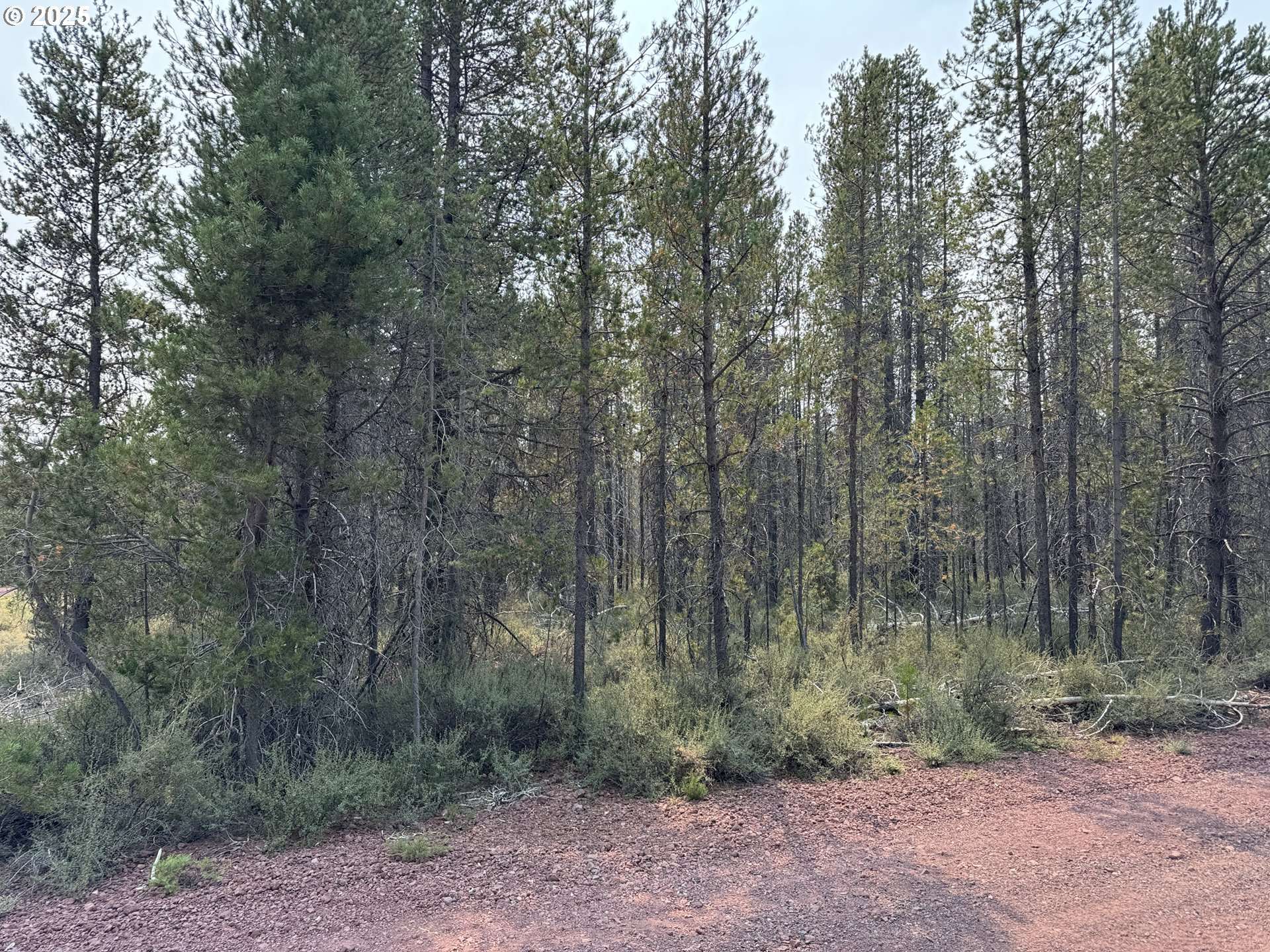 Chiloquin, OR 97624,Cloudcap Drive #1