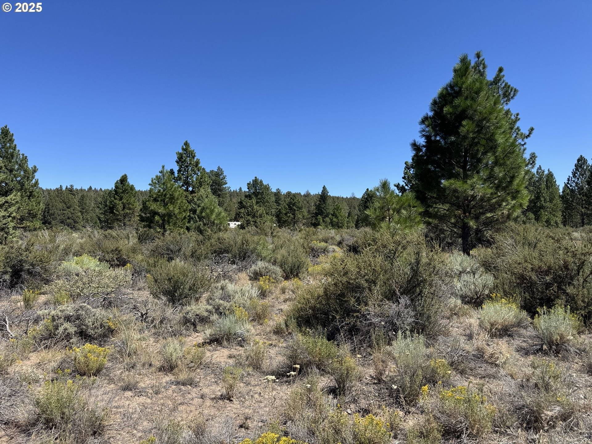 Bonanza, OR 97623,Bufflehead Drive #18