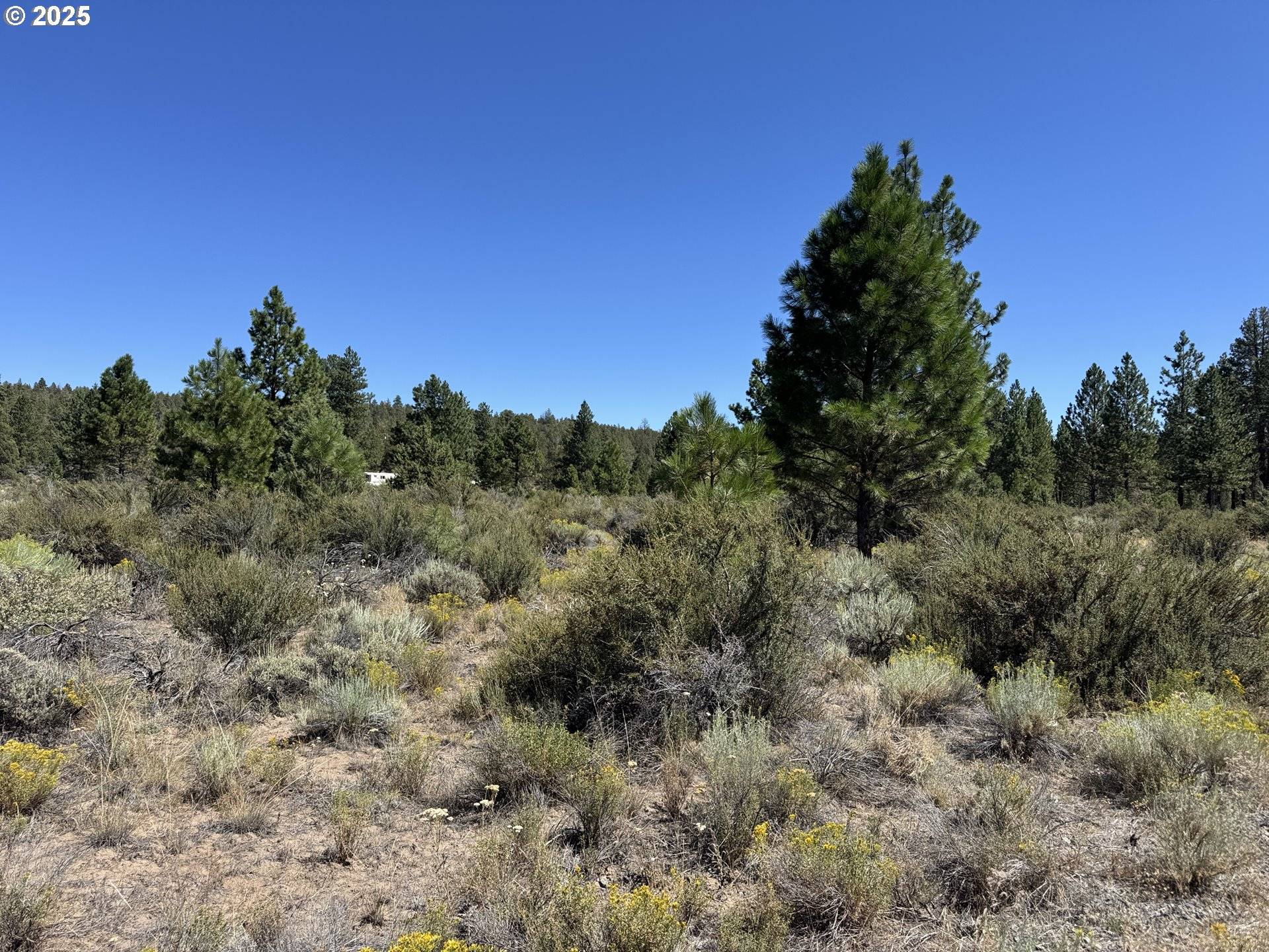 Bonanza, OR 97623,Bufflehead Drive #18