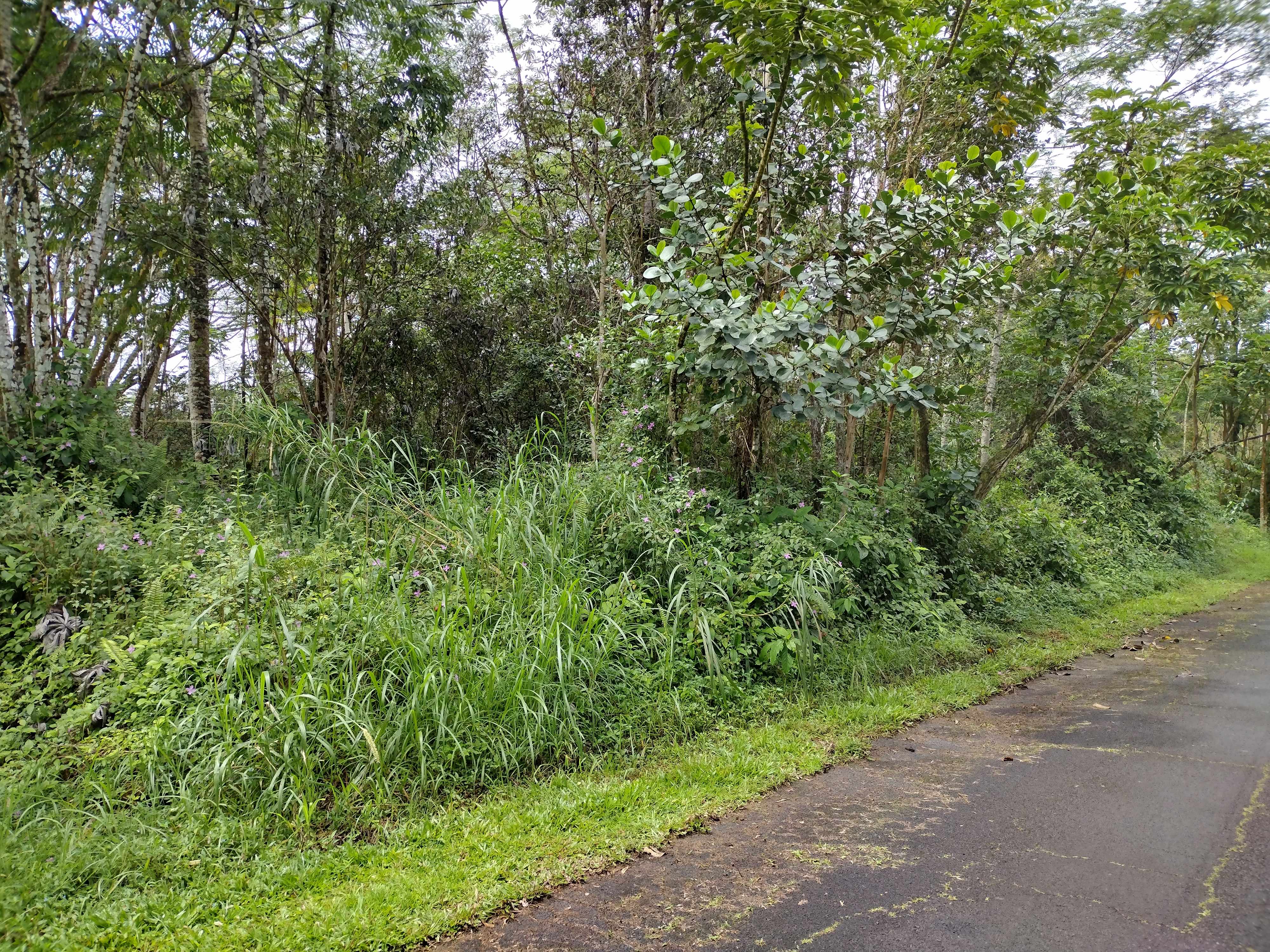 Pahoa, HI 96778,CHURCH RD