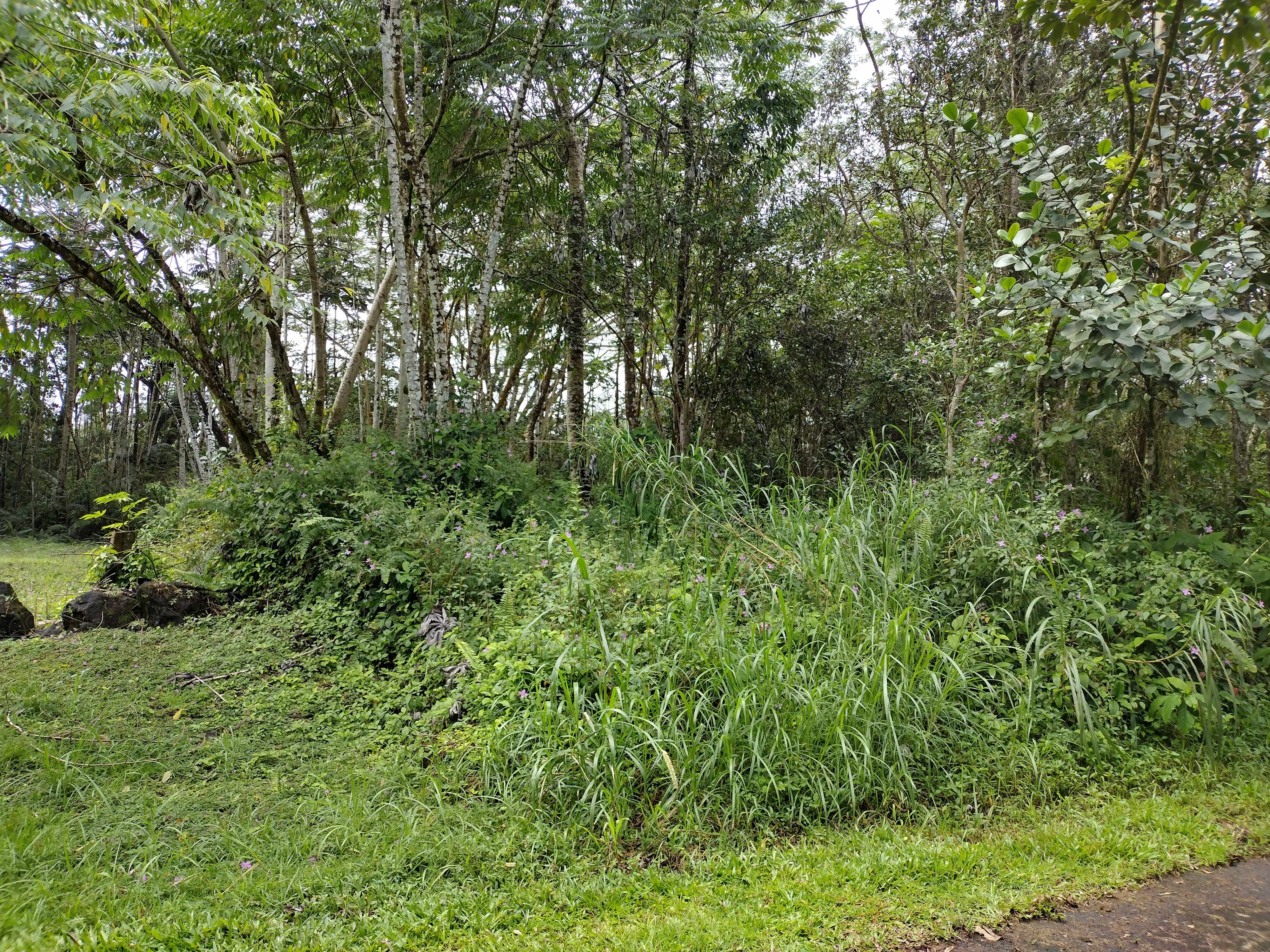 Pahoa, HI 96778,CHURCH RD