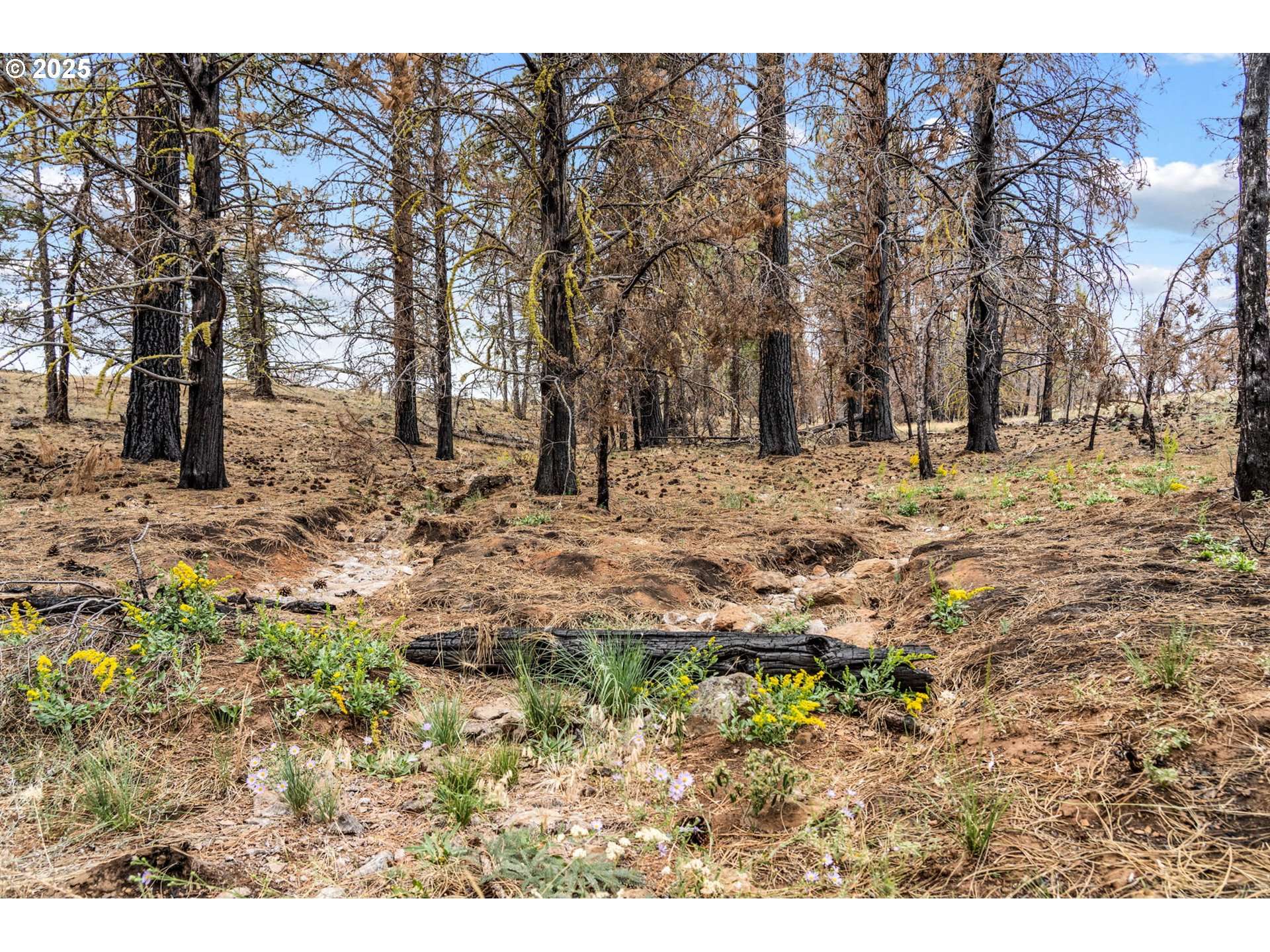 Paulina, OR 97751,Wolf Creek Rd 42