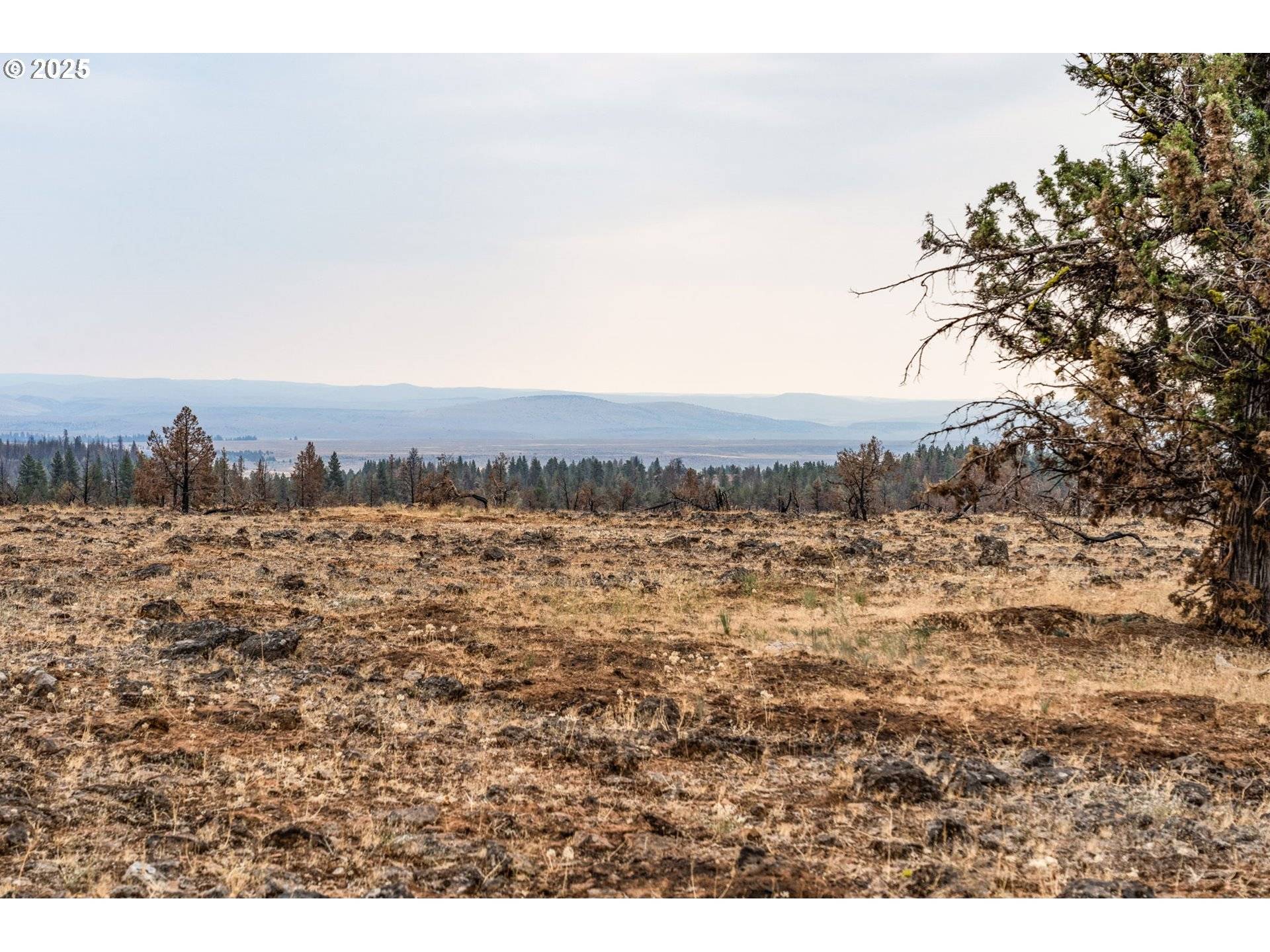 Paulina, OR 97751,Wolf Creek Rd 42