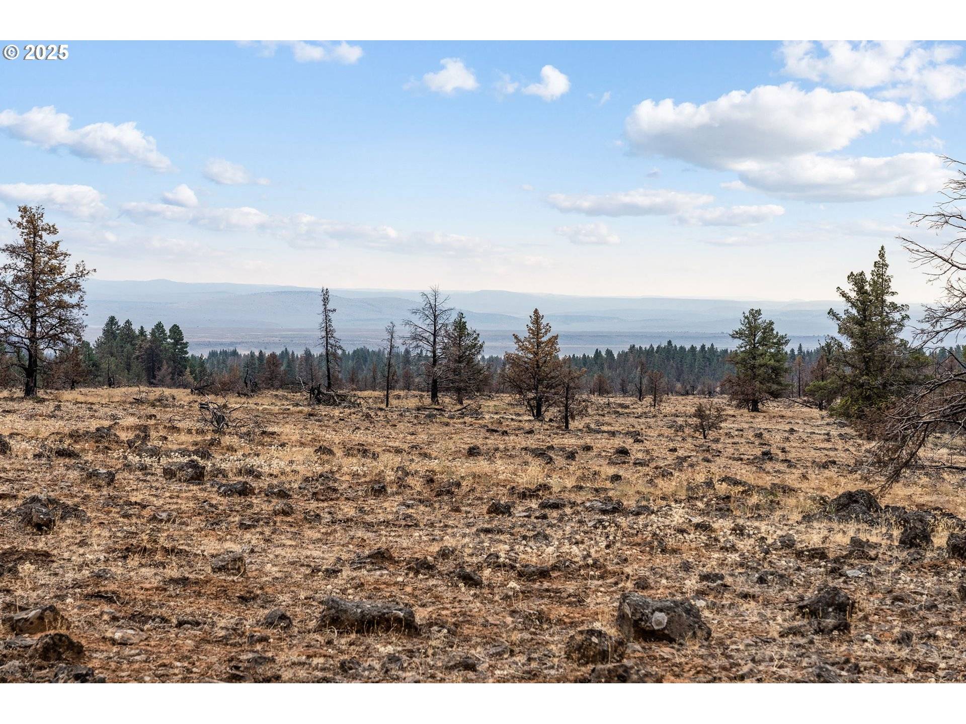 Paulina, OR 97751,Wolf Creek Rd 42