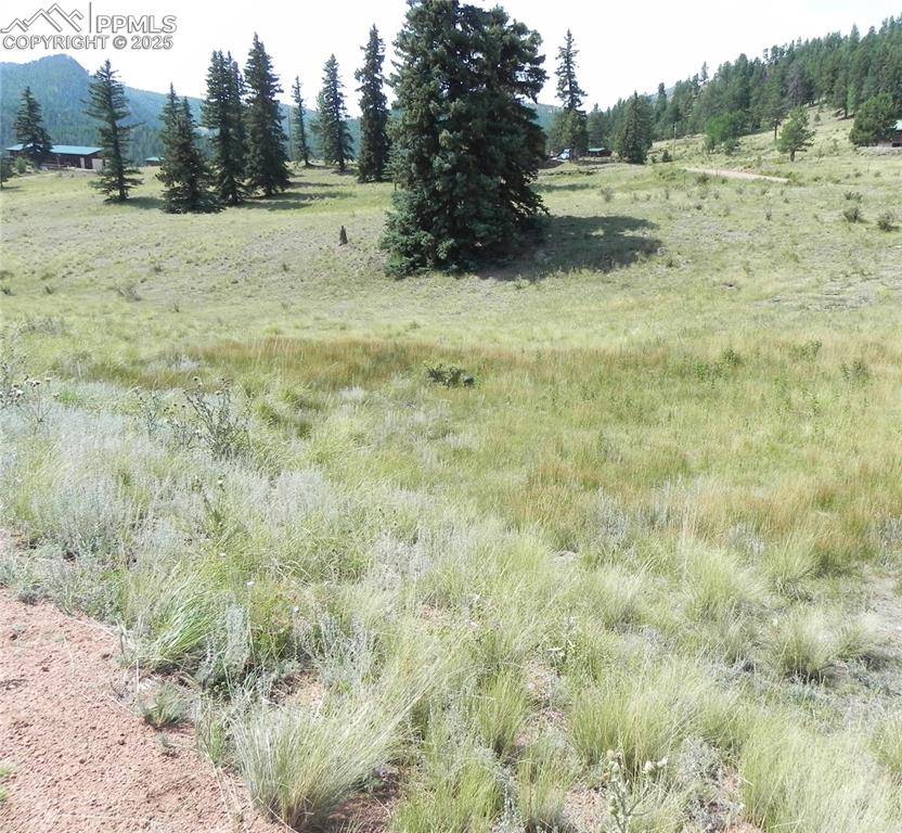 Cripple Creek, CO 80813,53 Nickel Plate RD