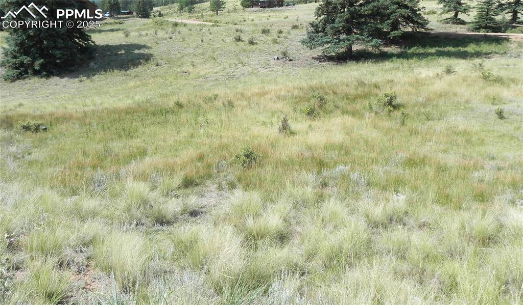 Cripple Creek, CO 80813,53 Nickel Plate RD