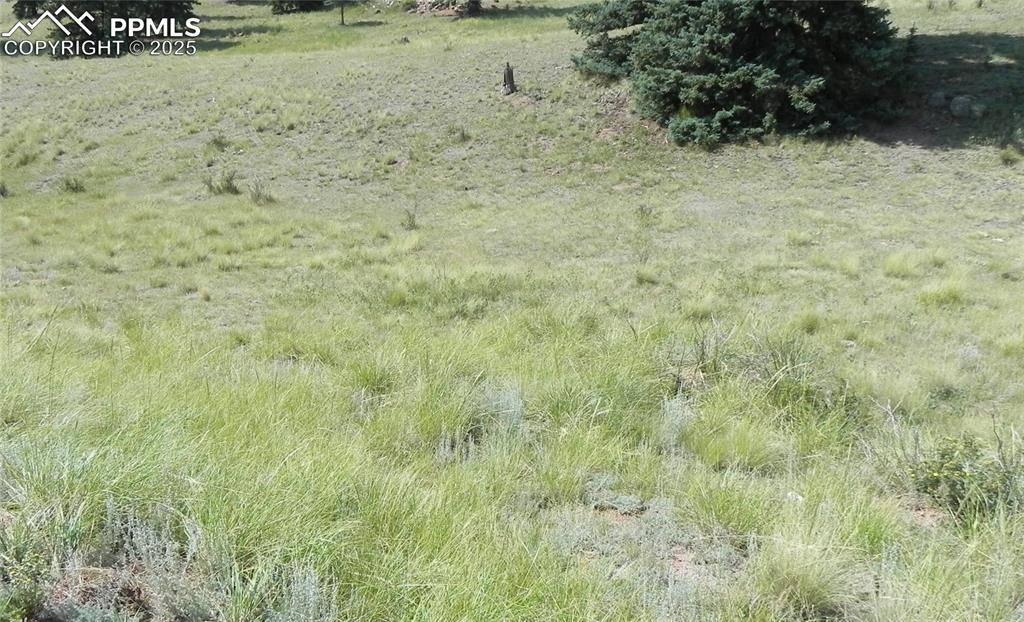 Cripple Creek, CO 80813,53 Nickel Plate RD