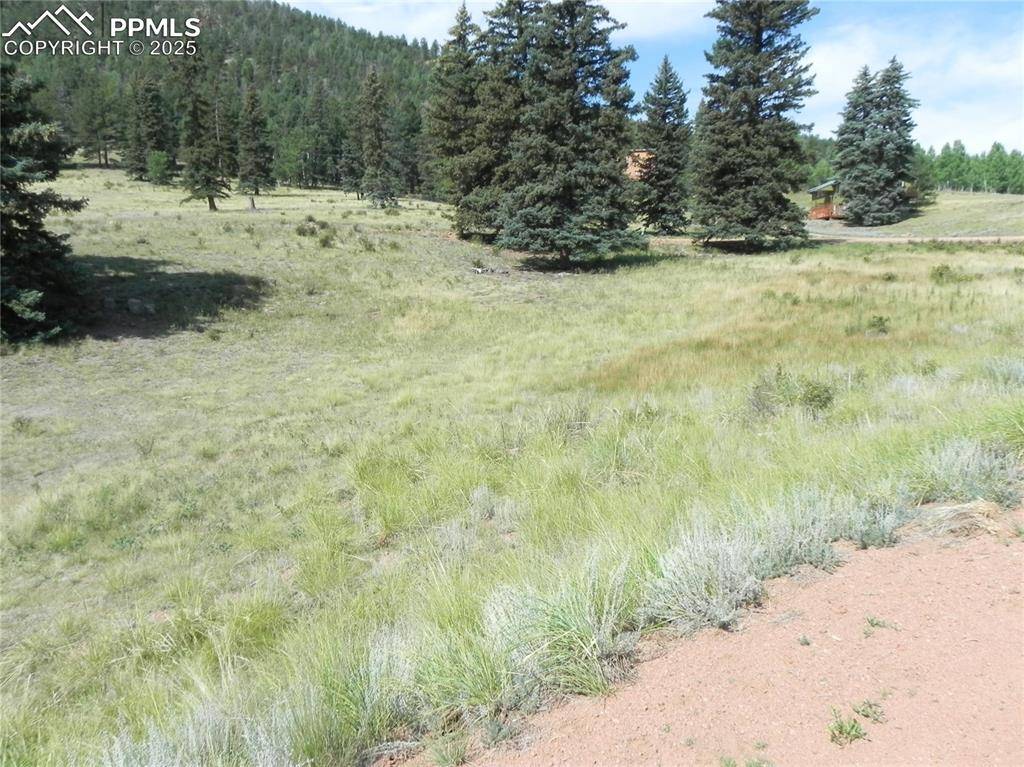 Cripple Creek, CO 80813,53 Nickel Plate RD