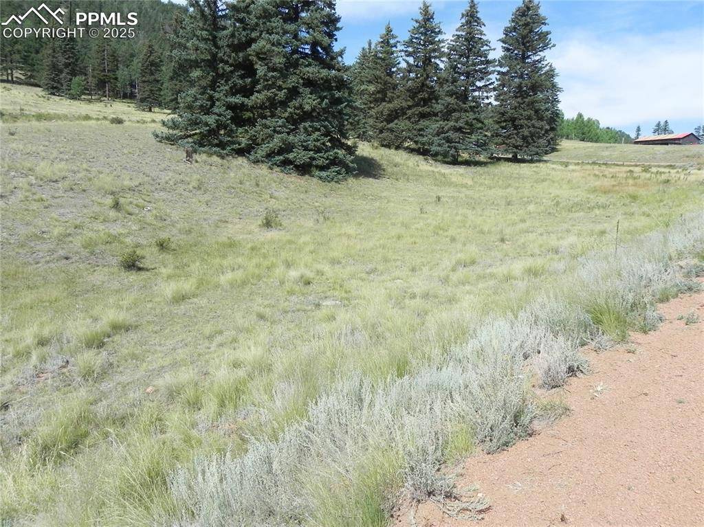 Cripple Creek, CO 80813,53 Nickel Plate RD