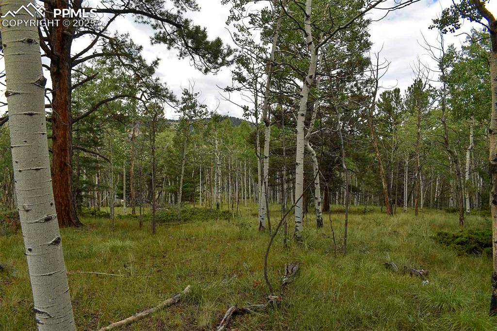 Guffey, CO 80820,205 Timberline DR