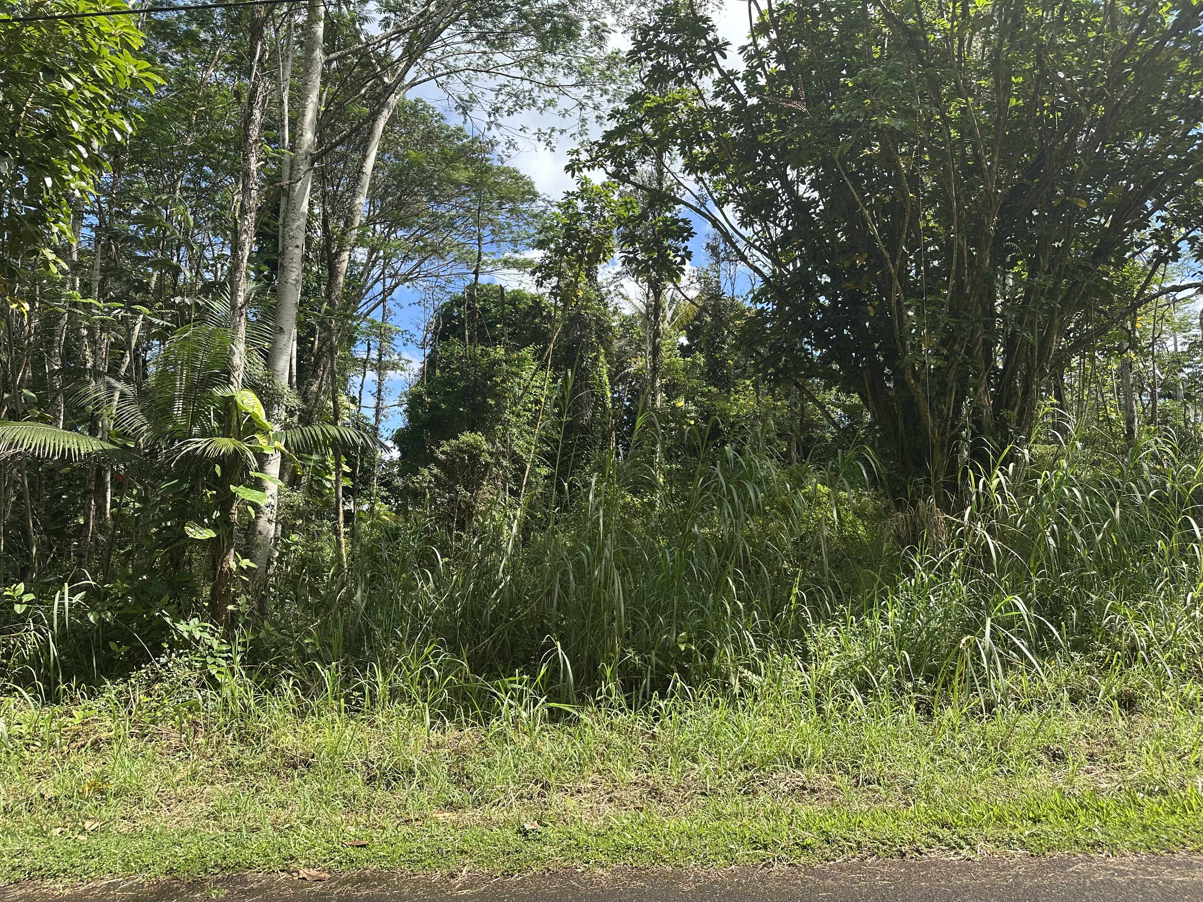 Pahoa, HI 96778,CHURCH RD