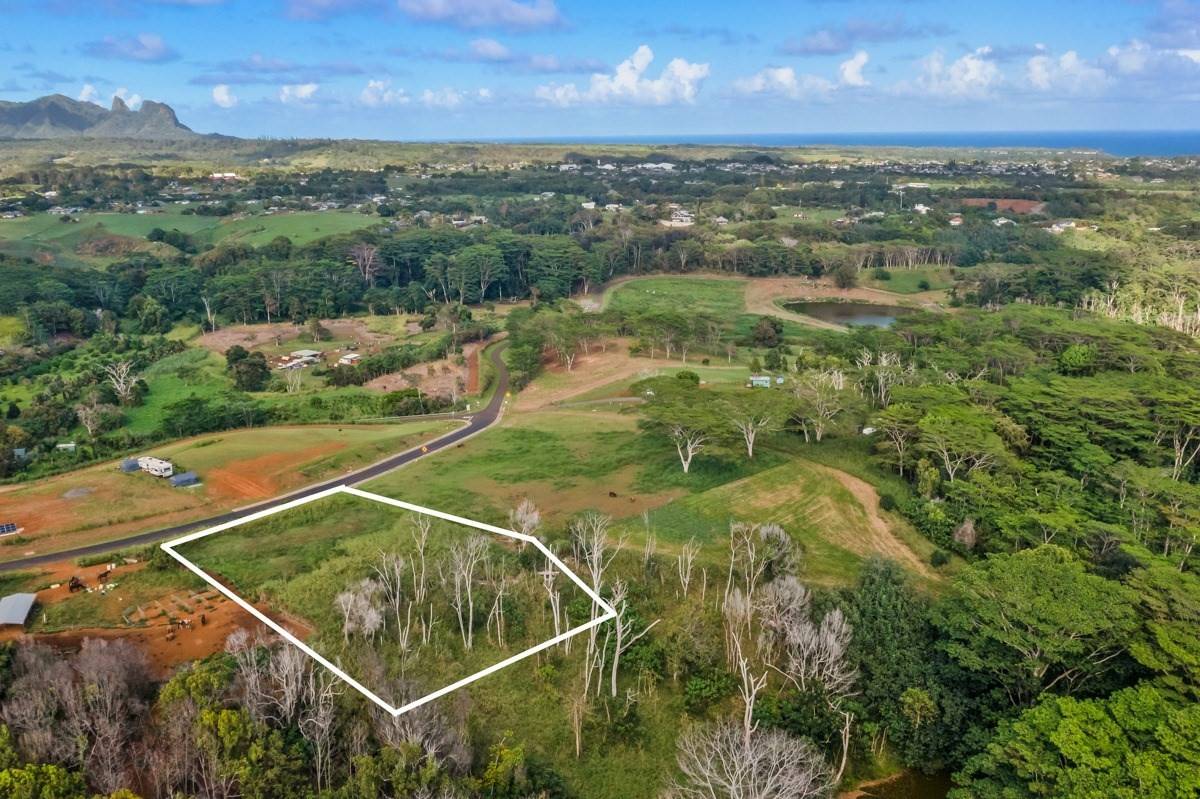 Kapaa, HI 96746,#12B