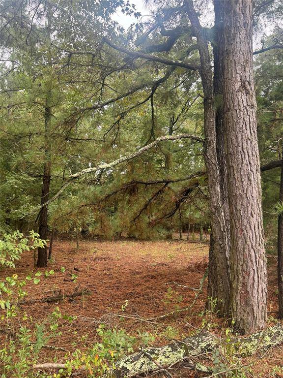 Clarksville, TX 75426,0000 cr 2124