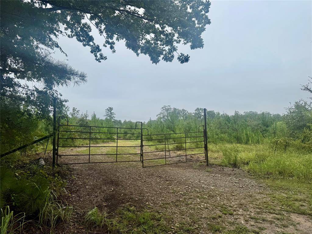 Clarksville, TX 75426,0000 cr 2124