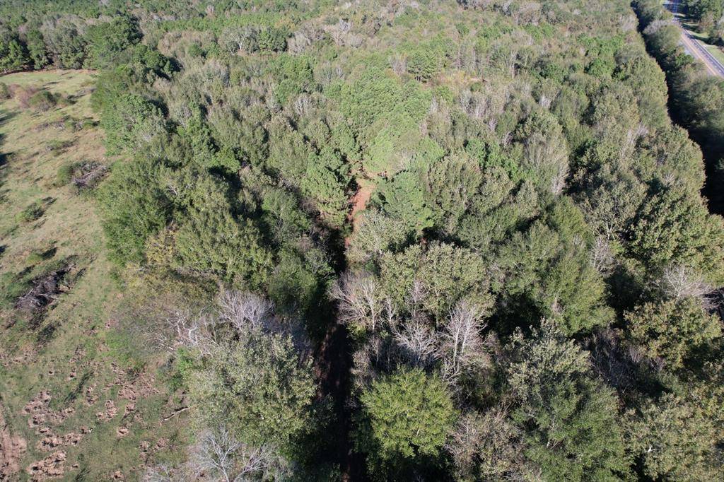 Tenaha, TX 75974,TBD HWY 59