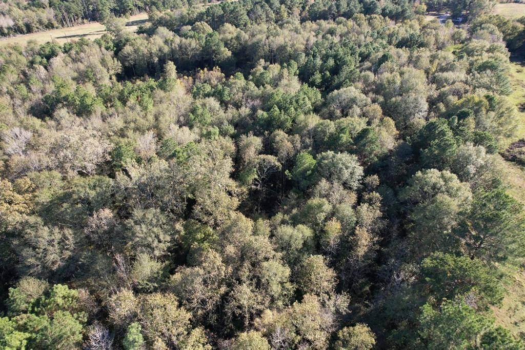 Tenaha, TX 75974,TBD HWY 59