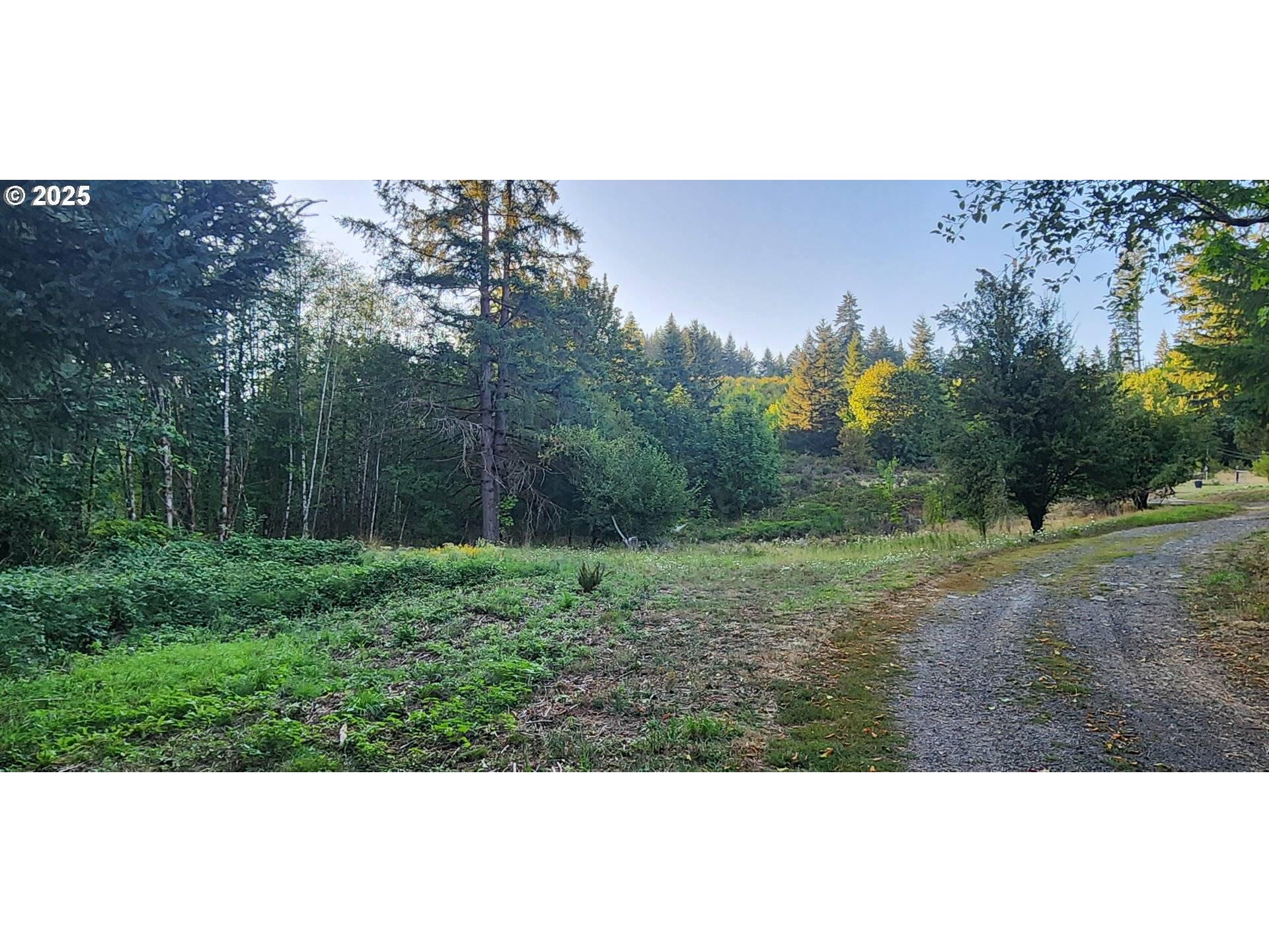 Yankton, OR 97051,31917 BROOKS RD