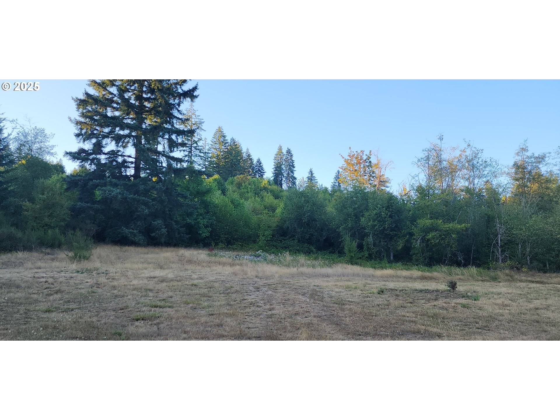 Yankton, OR 97051,31917 BROOKS RD