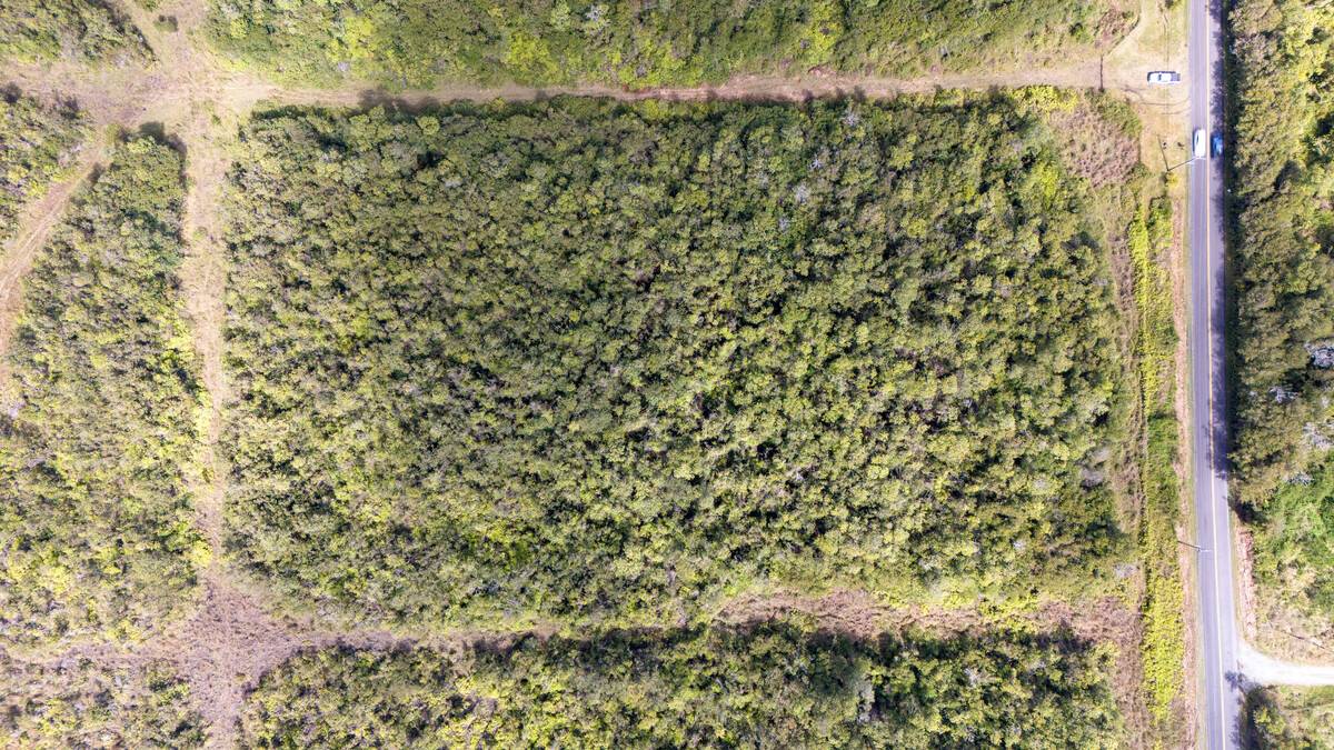 Volcano, HI 96785,GLENWOOD RD