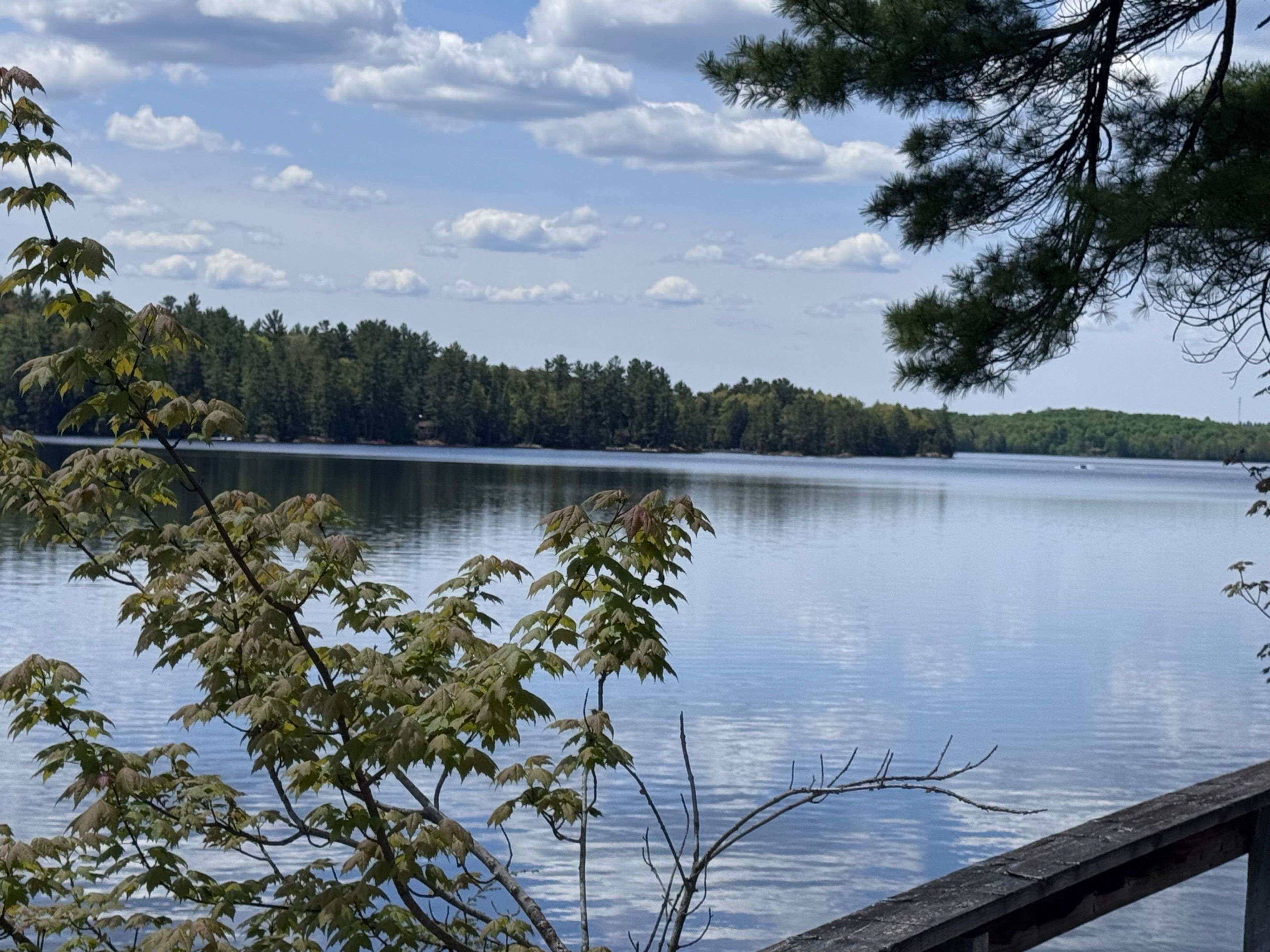 Algonquin Highlands, ON K0M 1S0,52935 Big Hawk North Shore N/A