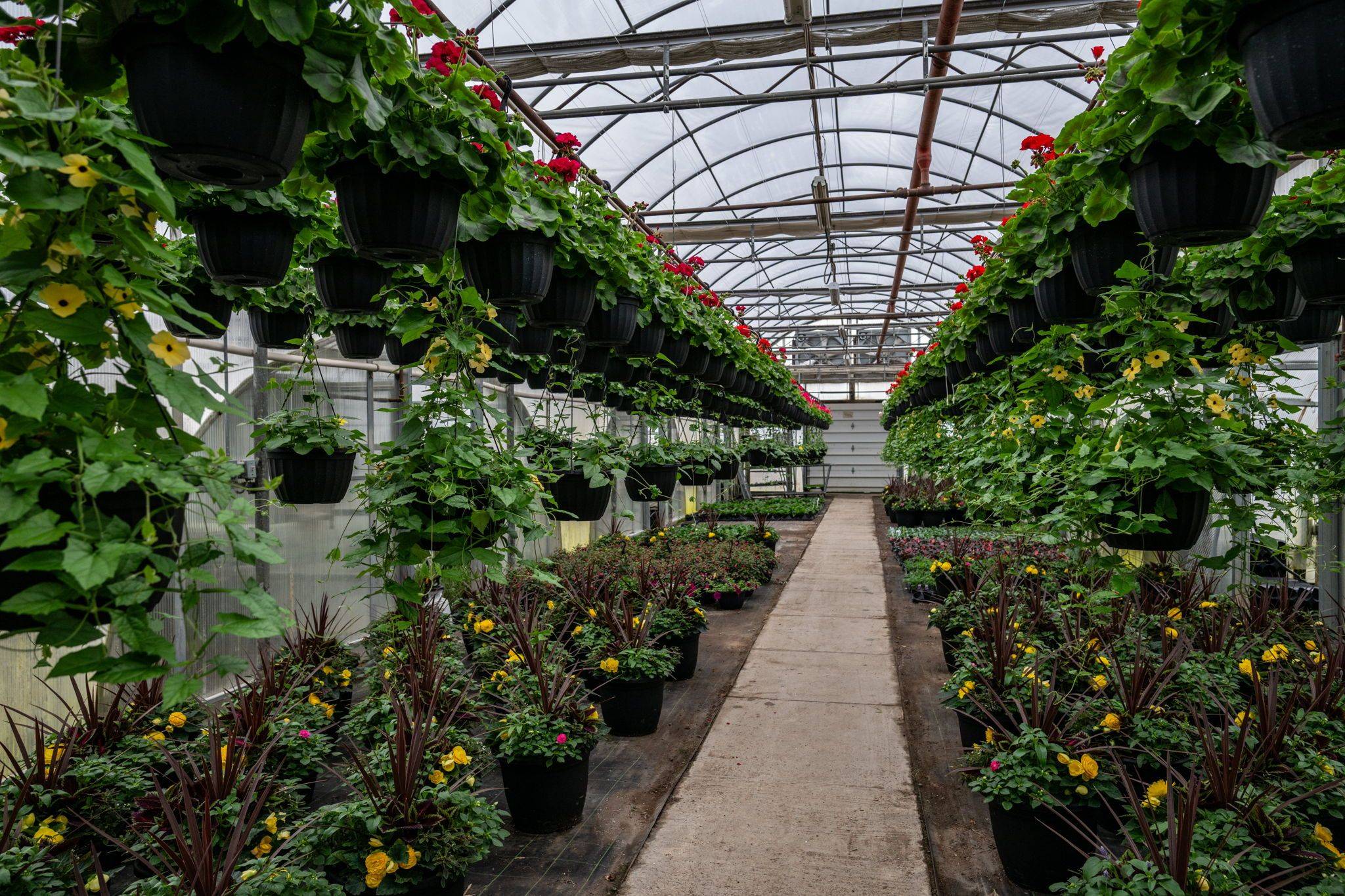 Thames Centre, ON N6M 1H6,3862 Trafalgar ST