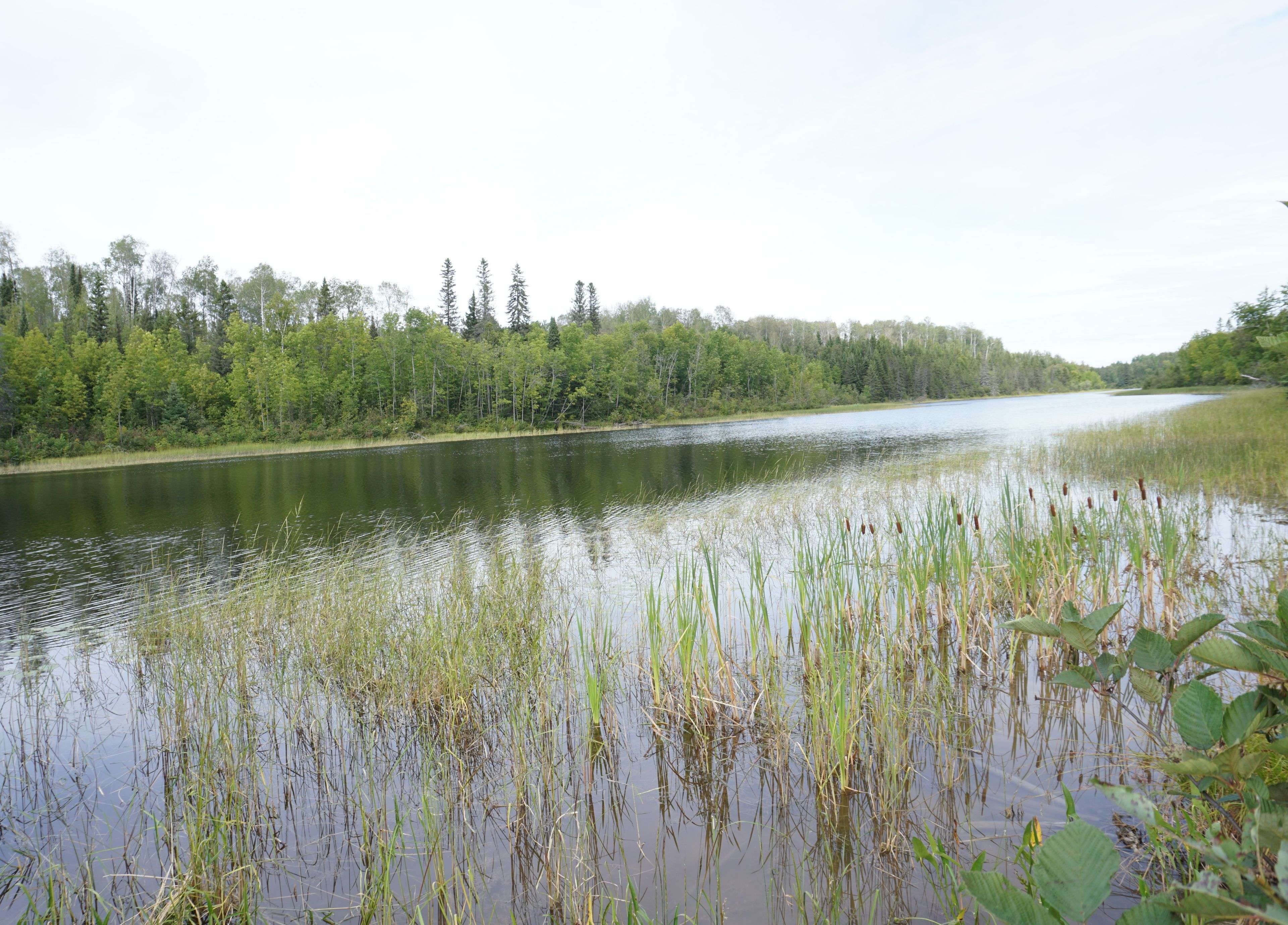 Timiskaming, ON P0J 1B0,Lot 1 CAMPBELL'S RD