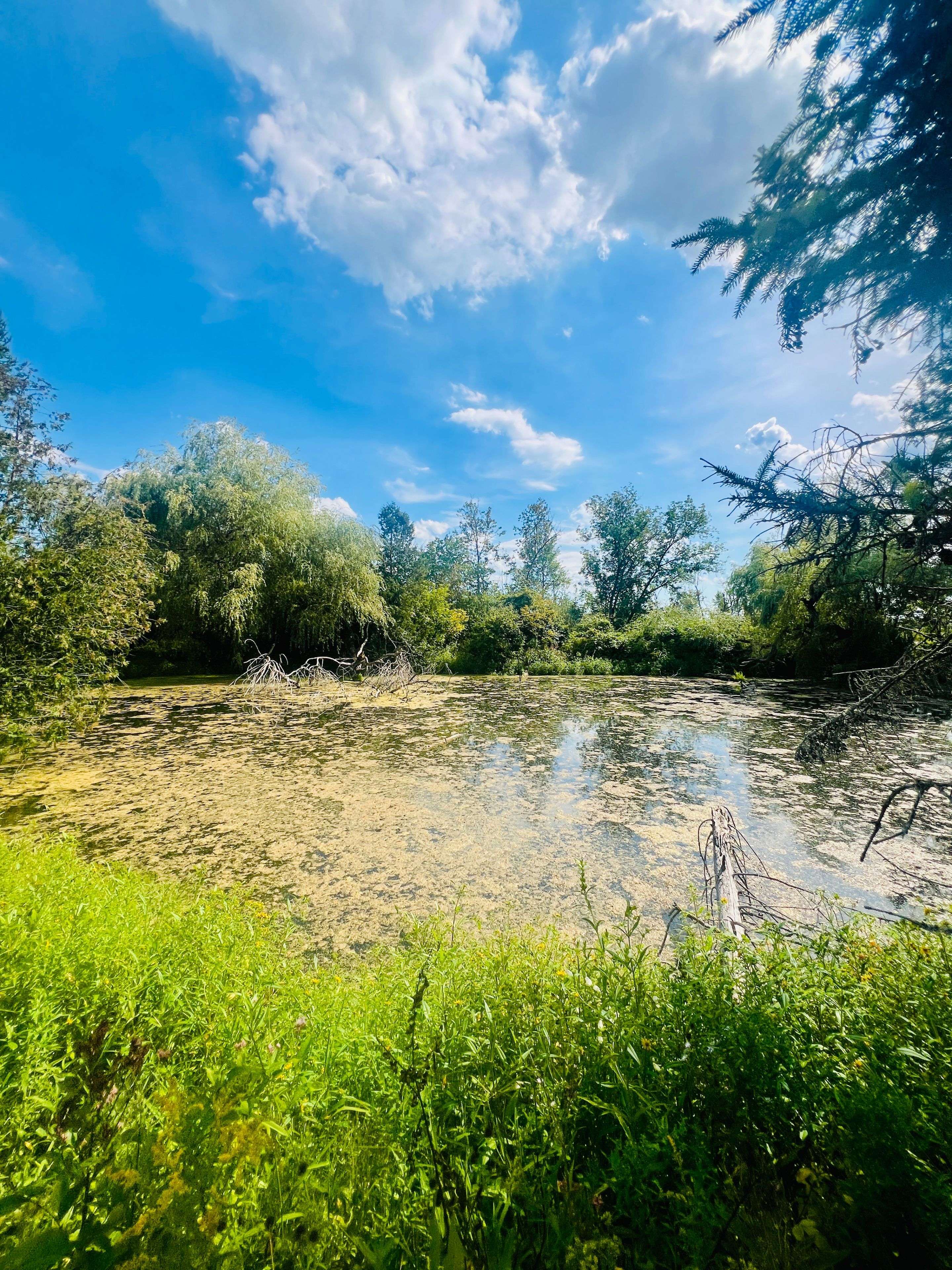19983 Hwy 48 N/A, East Gwillimbury, ON L1G 1M0