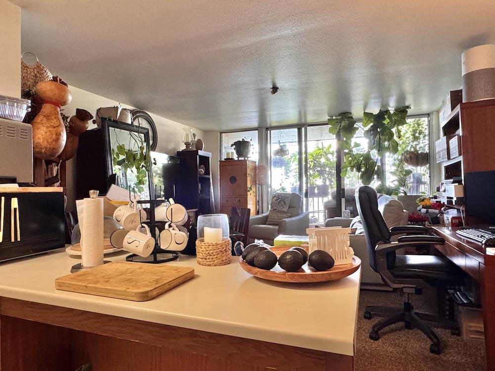 Kapaa, HI 96746,320 PAPALOA RD #102