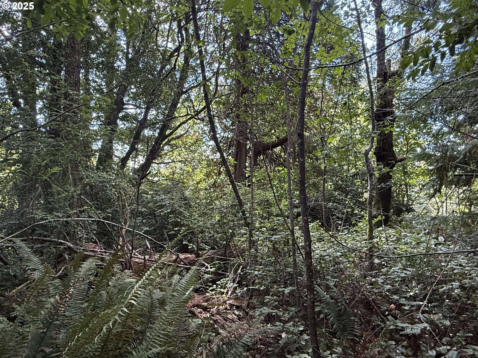 Port Orford, OR 97465,AVERILL HILL RD