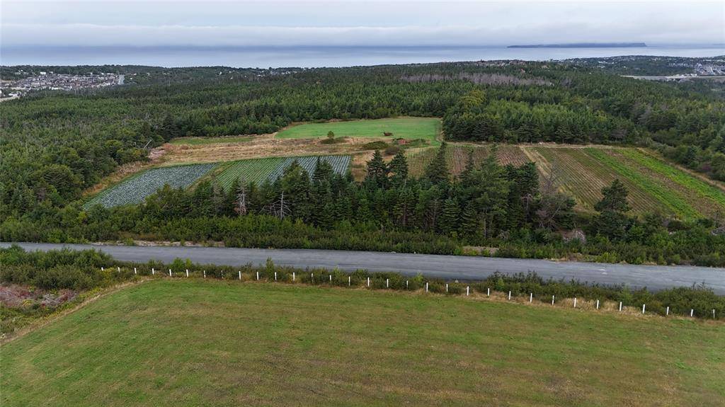 Conception Bay South, NL A1X 4A1,0 Andrews Road