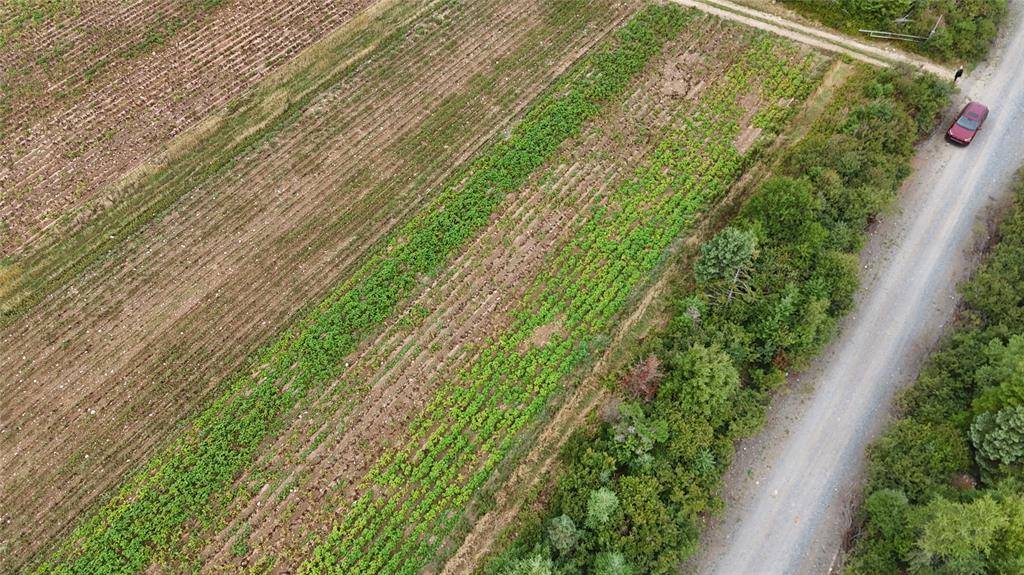 Conception Bay South, NL A1X 4A1,0 Andrews Road